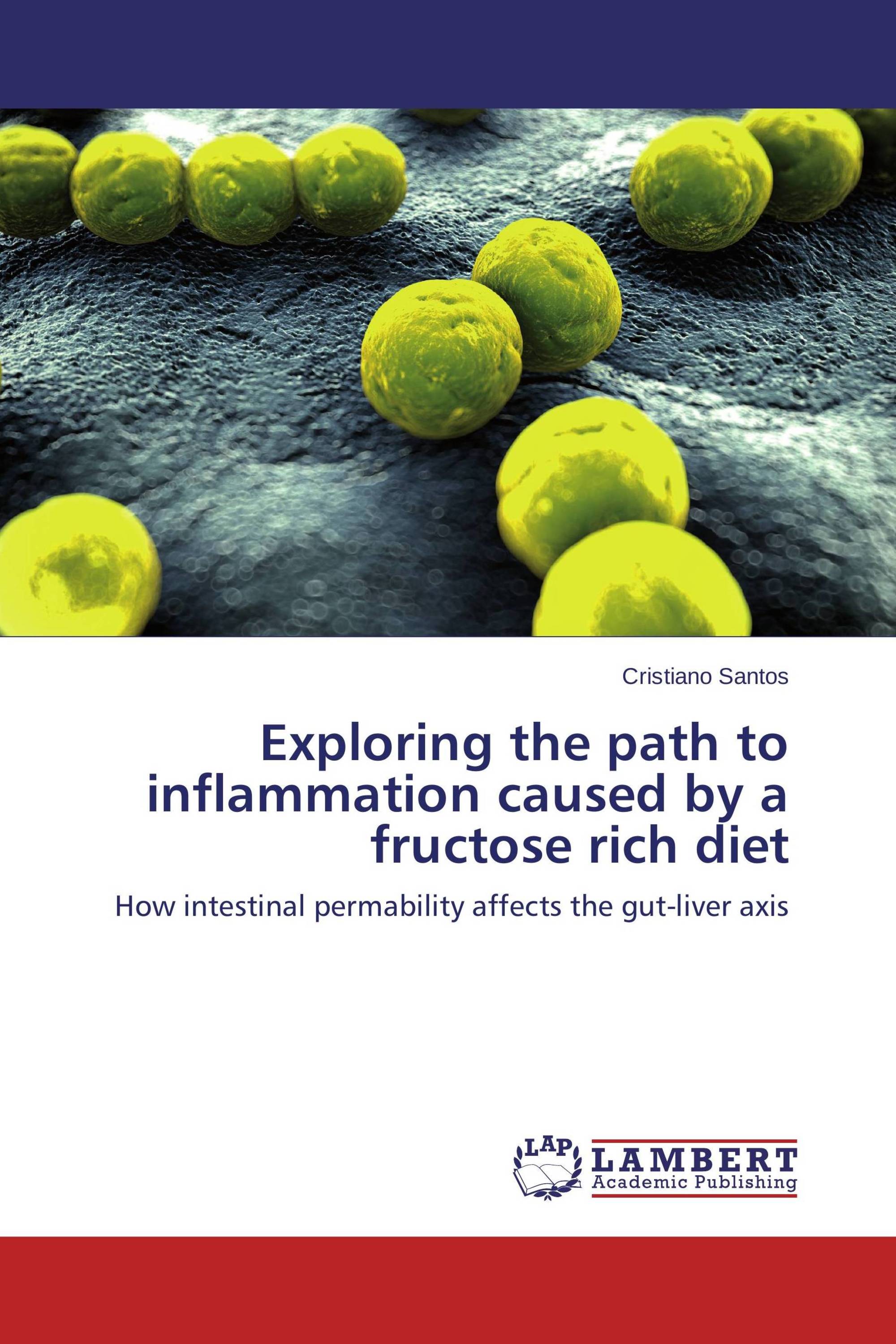 Exploring the path to inflammation caused by a fructose rich diet