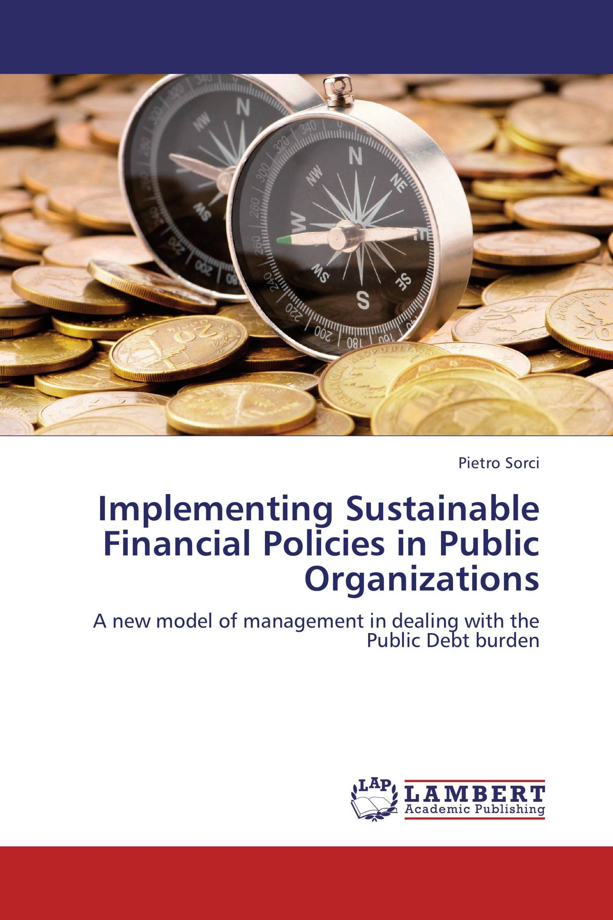 Implementing Sustainable Financial Policies in Public Organizations