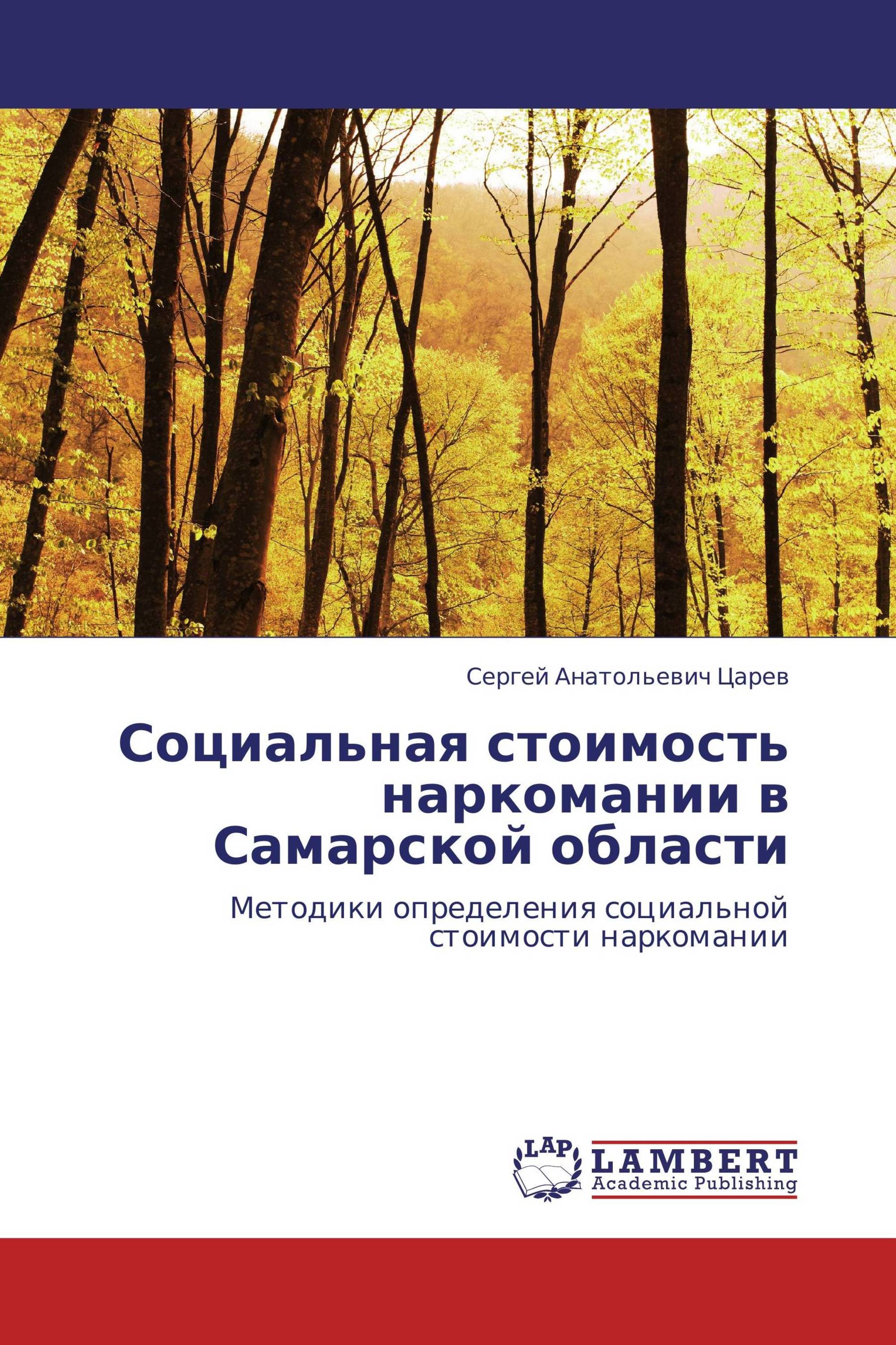 Социальная стоимость наркомании в Самарской области