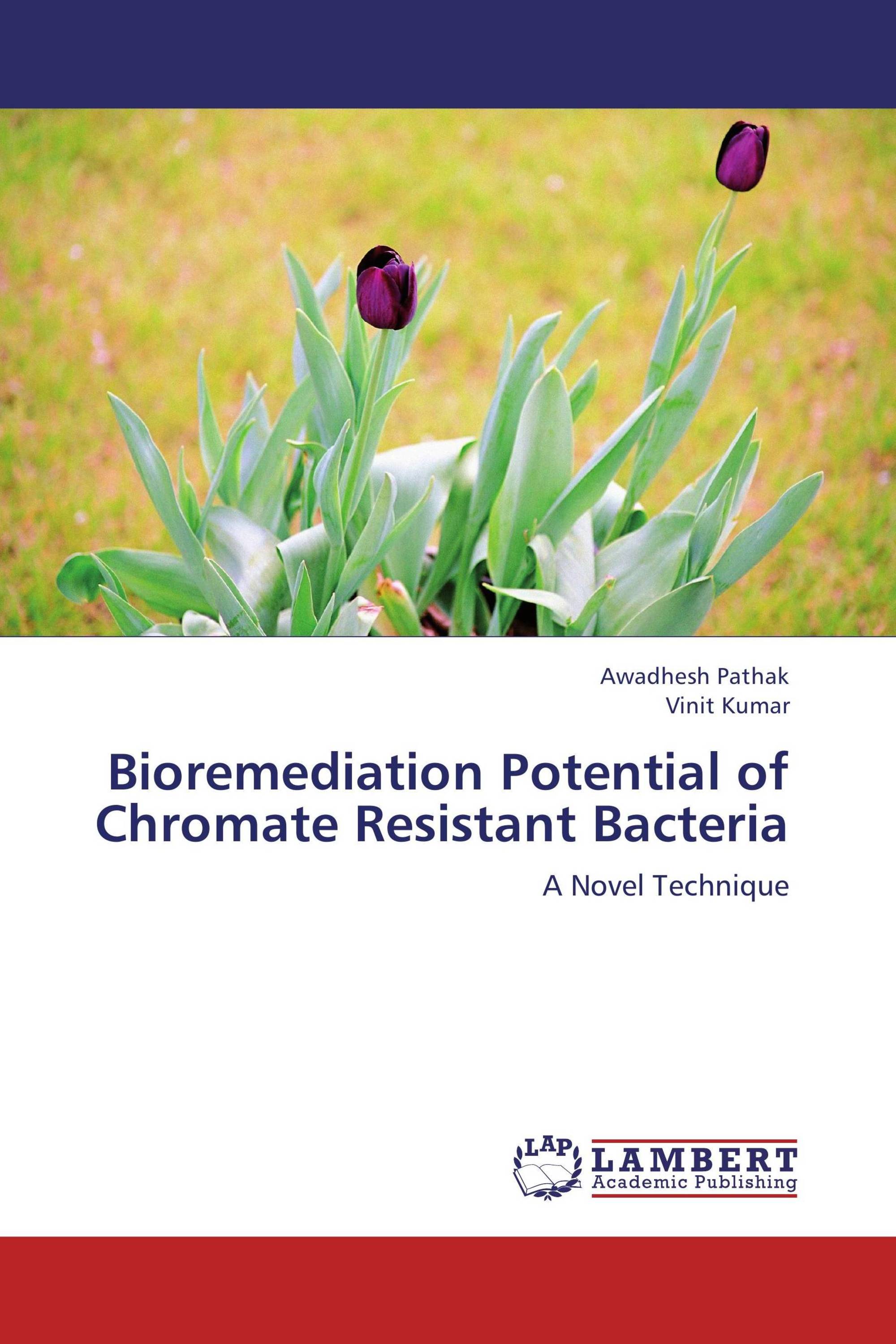 Bioremediation Potential of Chromate Resistant Bacteria