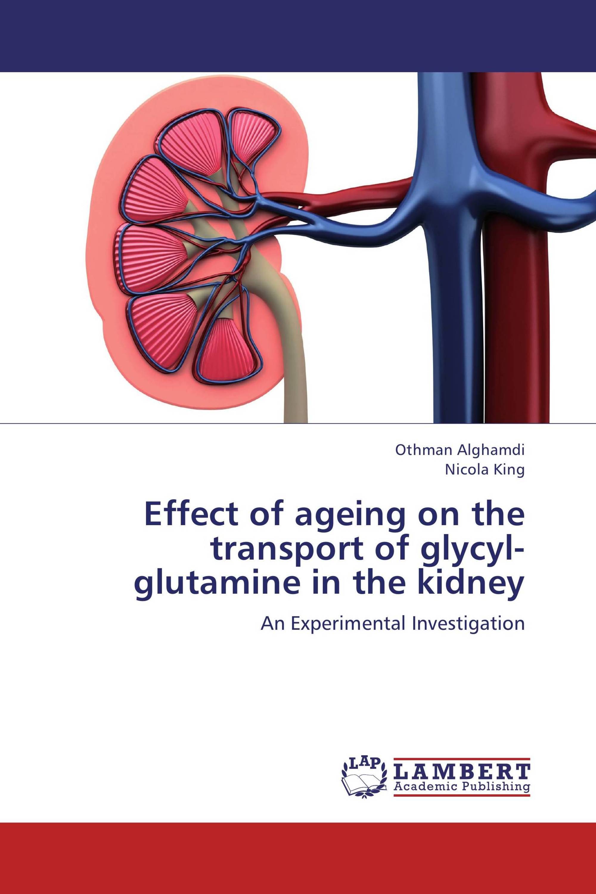 Effect of ageing on the transport of glycyl-glutamine in the kidney