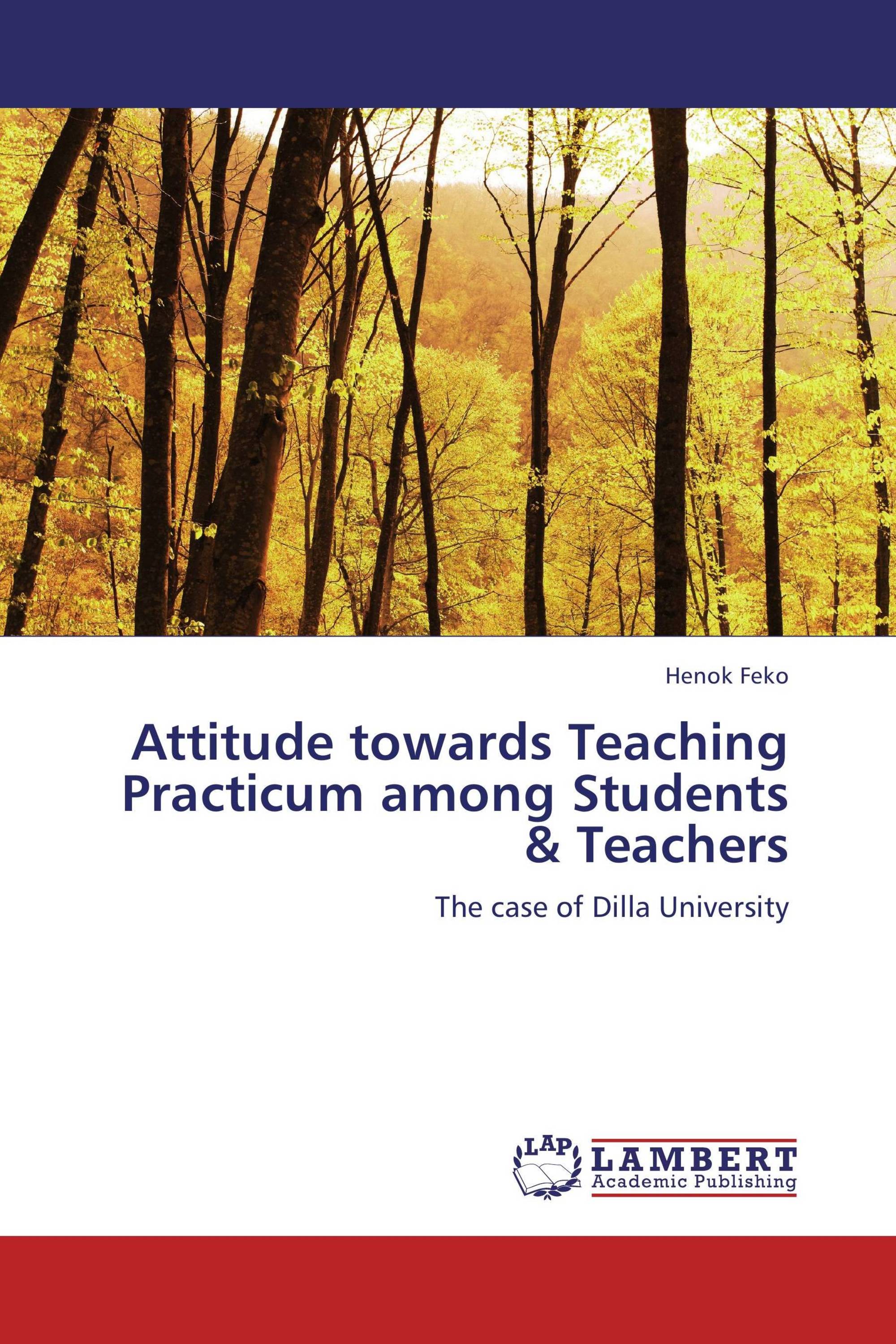literature review on teachers' attitude