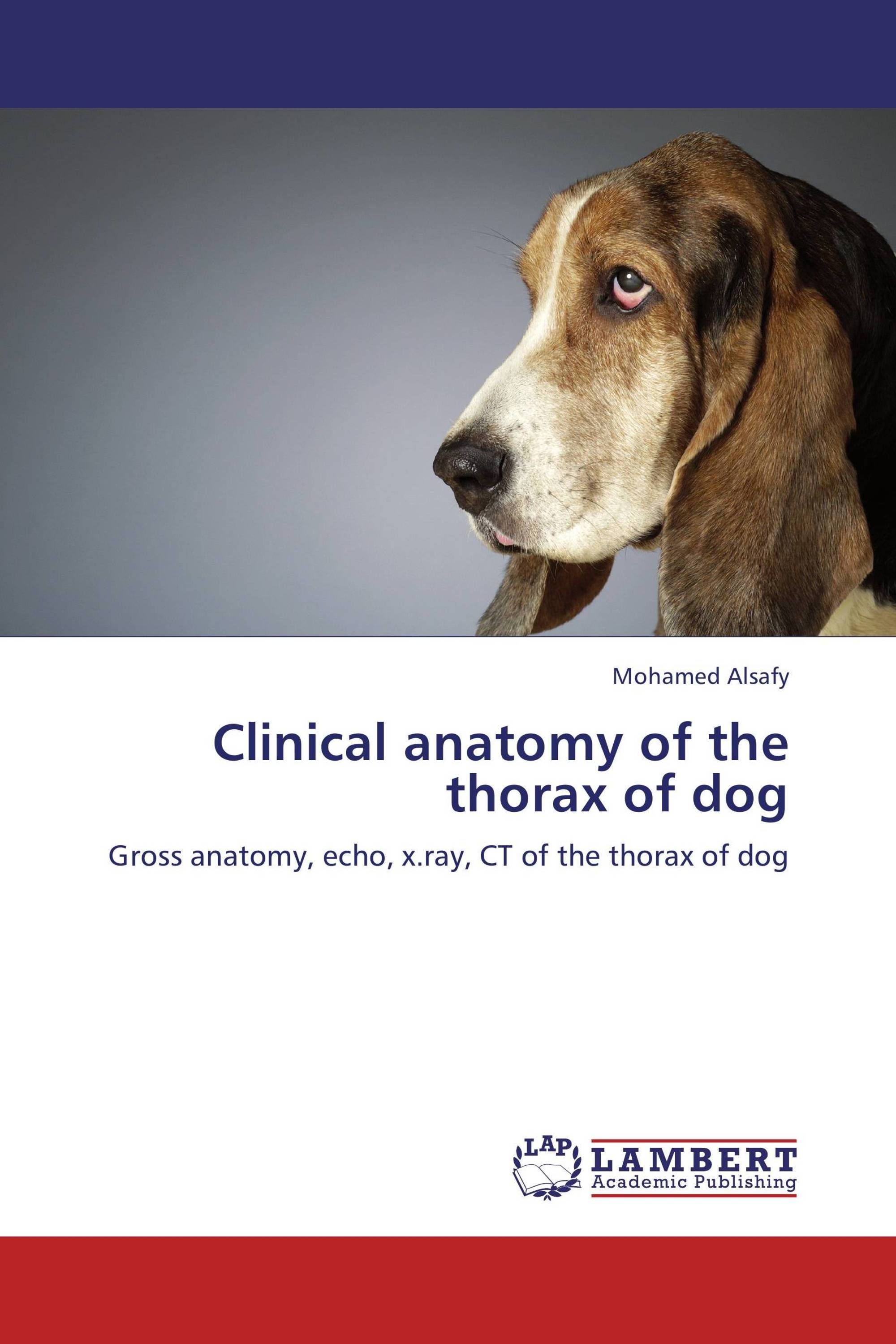 Clinical anatomy of the thorax of dog / 9783659286513