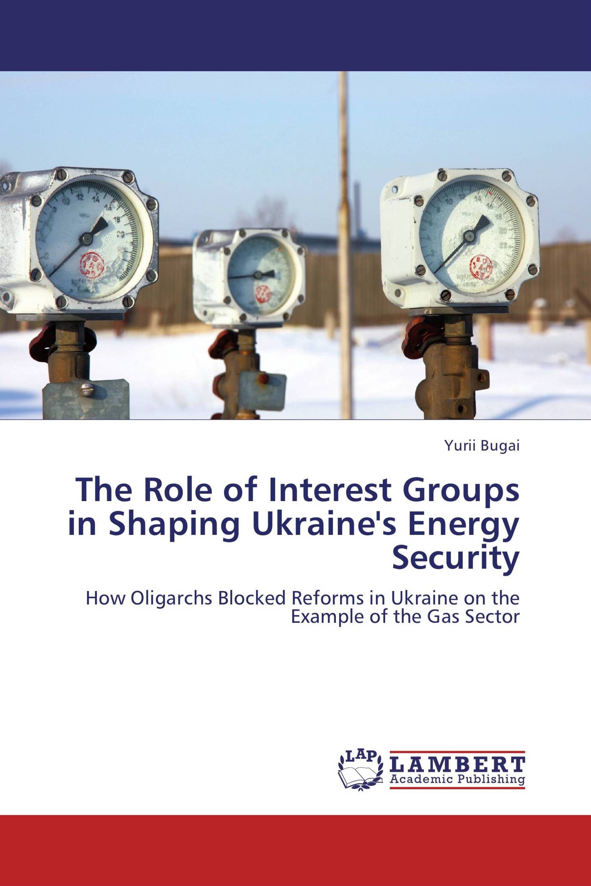 The Role Of Interest Groups In Shaping Ukraine s Energy Security 978 