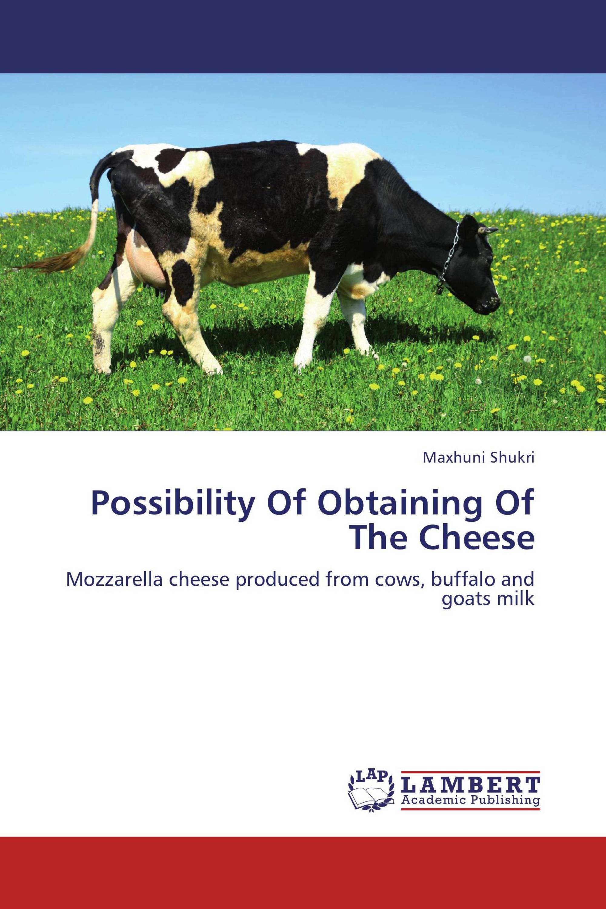 Possibility Of Obtaining Of The Cheese