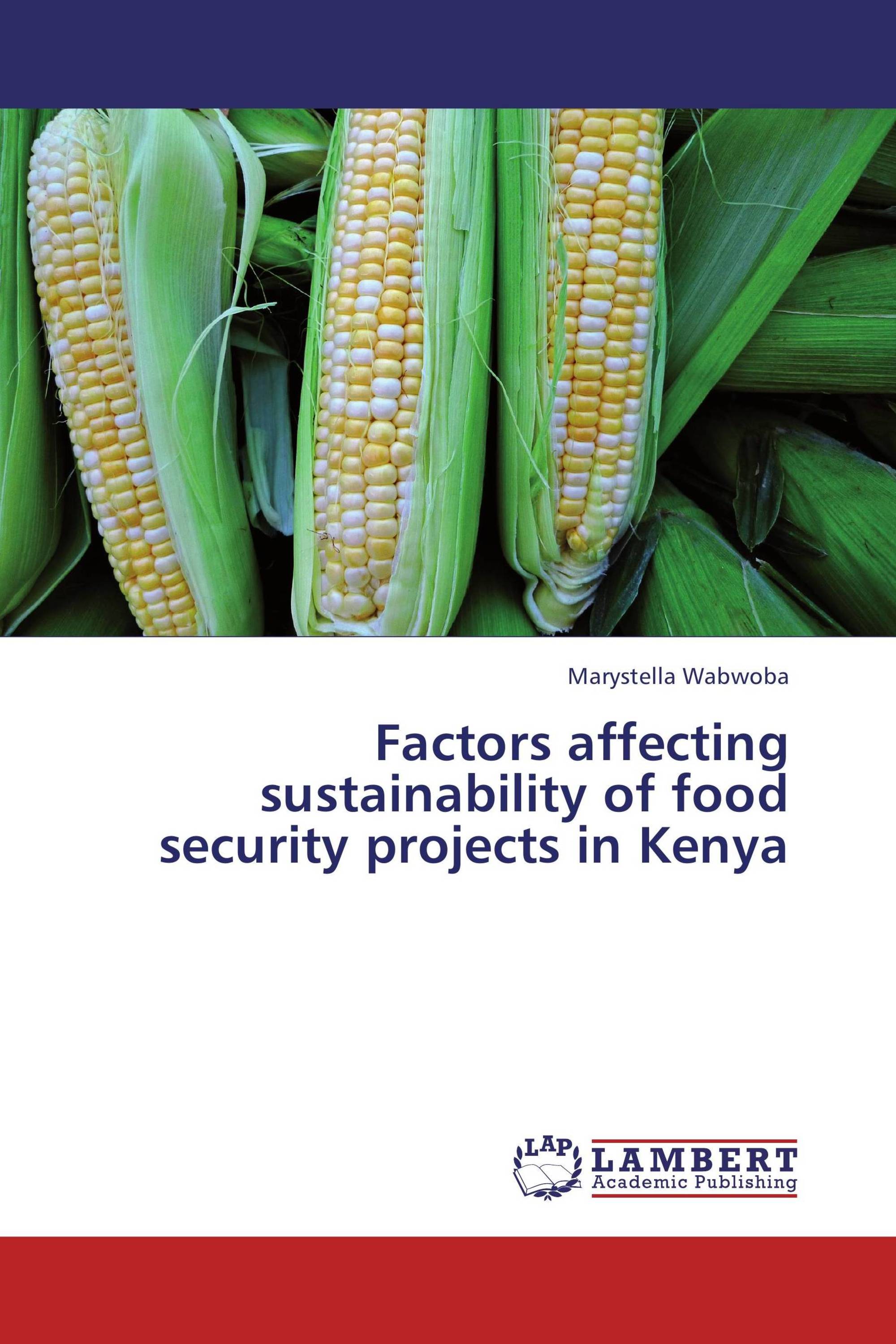 factors-affecting-sustainability-of-food-security-projects-in-kenya