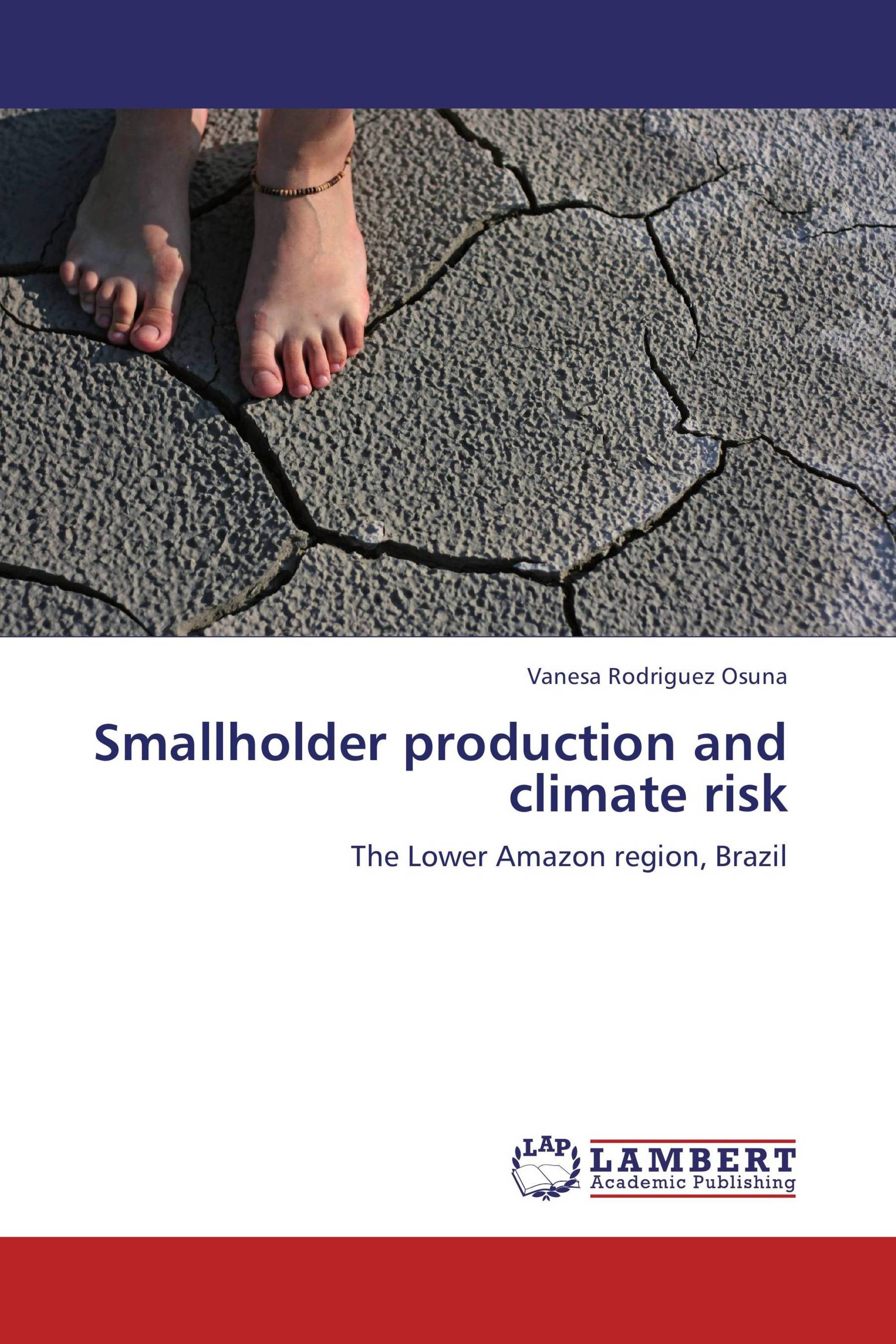 Smallholder production and climate risk