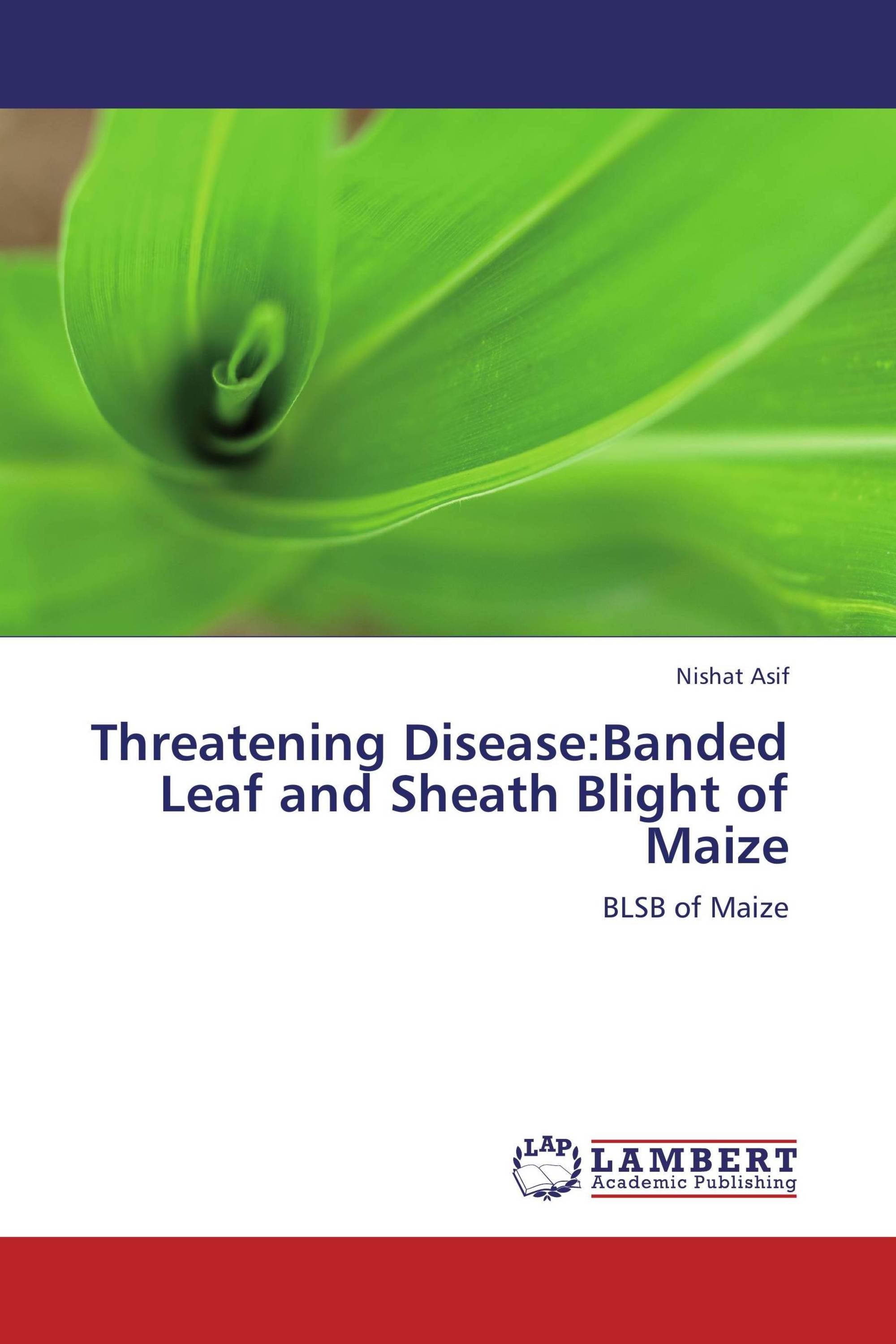 Threatening Disease:Banded Leaf and Sheath Blight of Maize