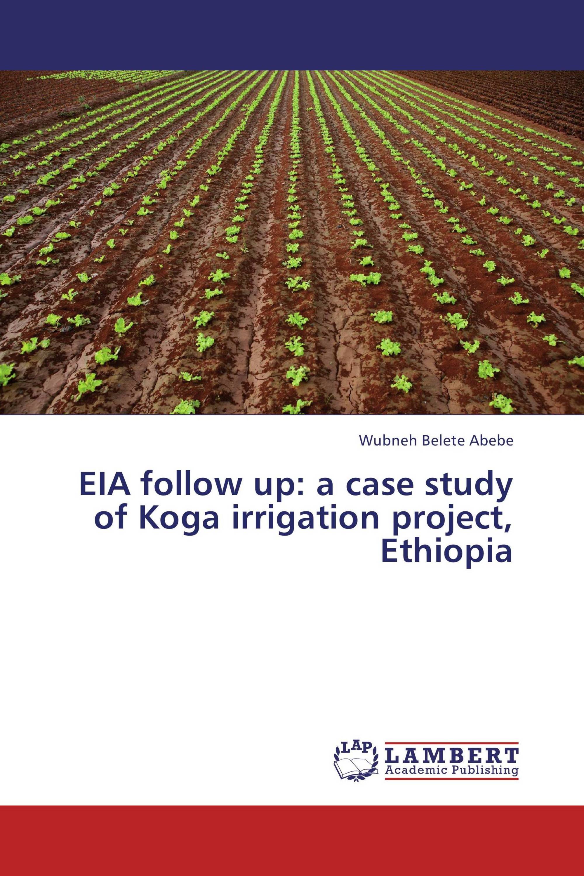 case study on irrigation project