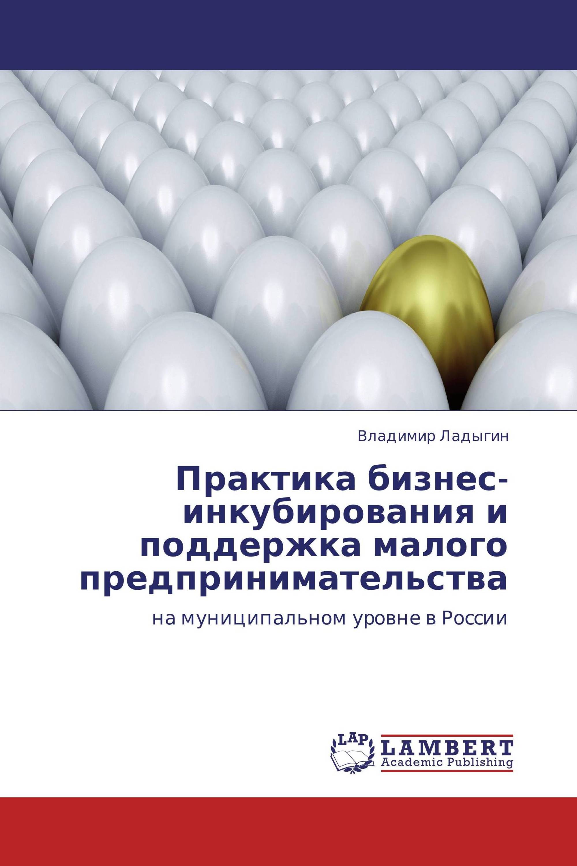 Практика бизнес-инкубирования и поддержка малого предпринимательства