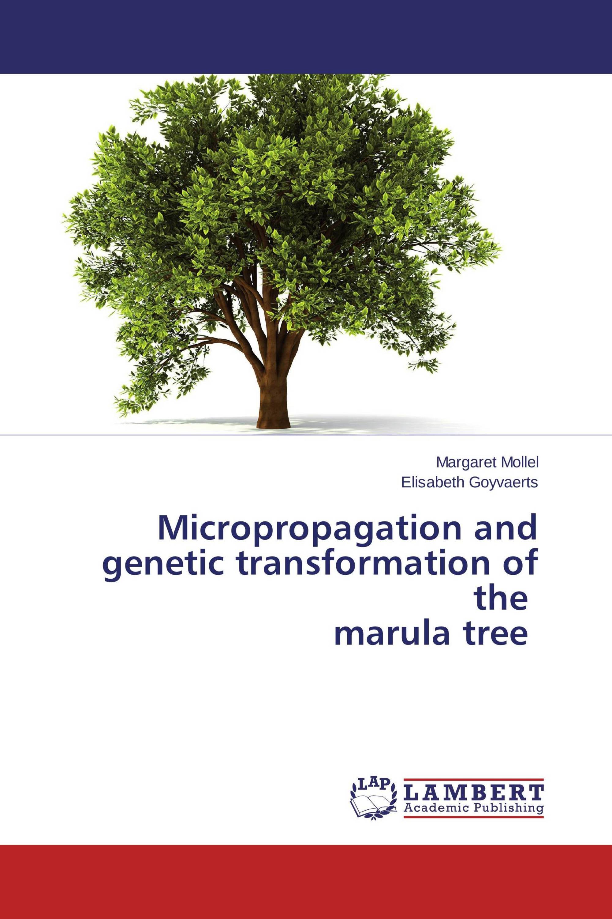 Micropropagation and genetic transformation of the    marula tree