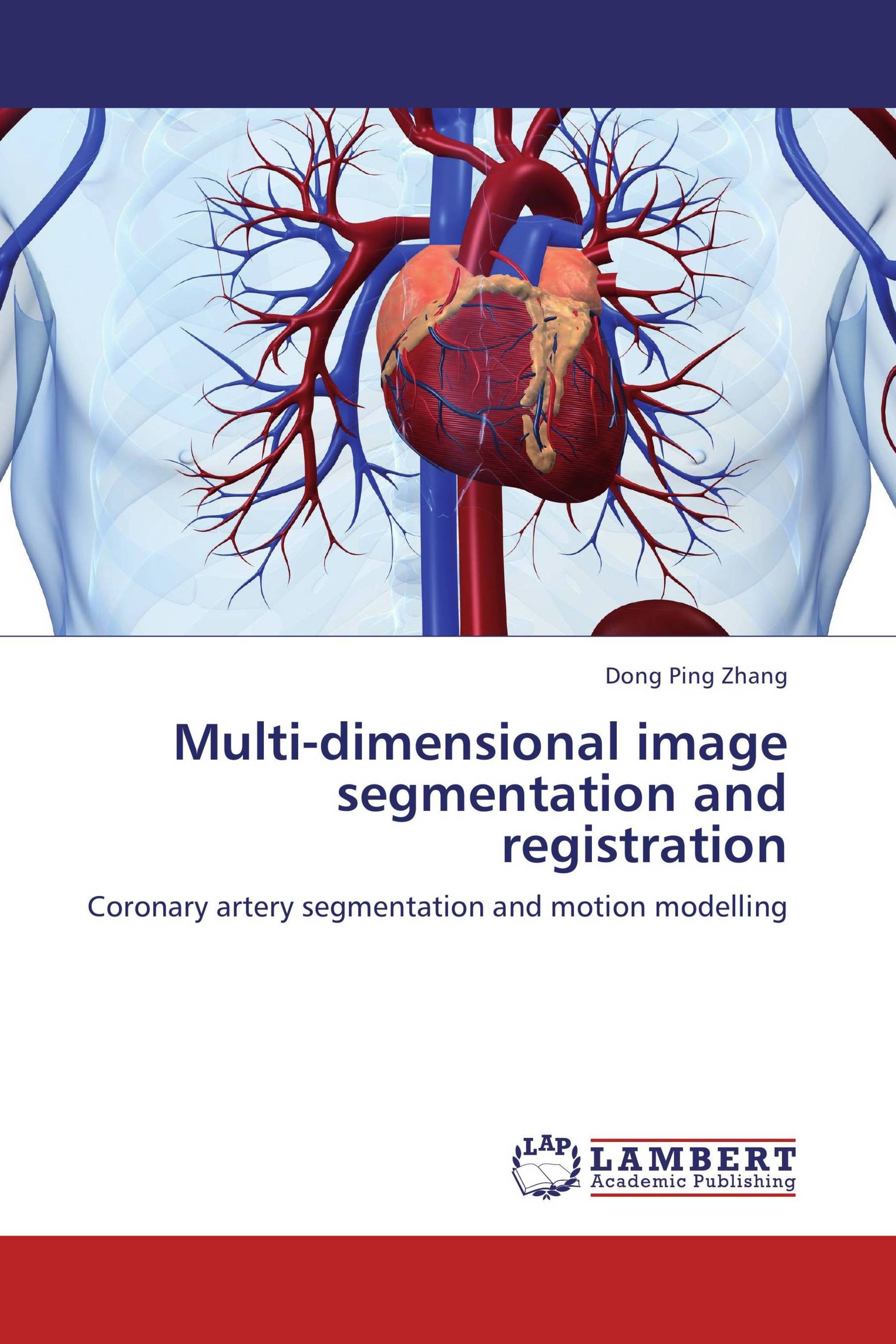 Multi-dimensional image segmentation and registration