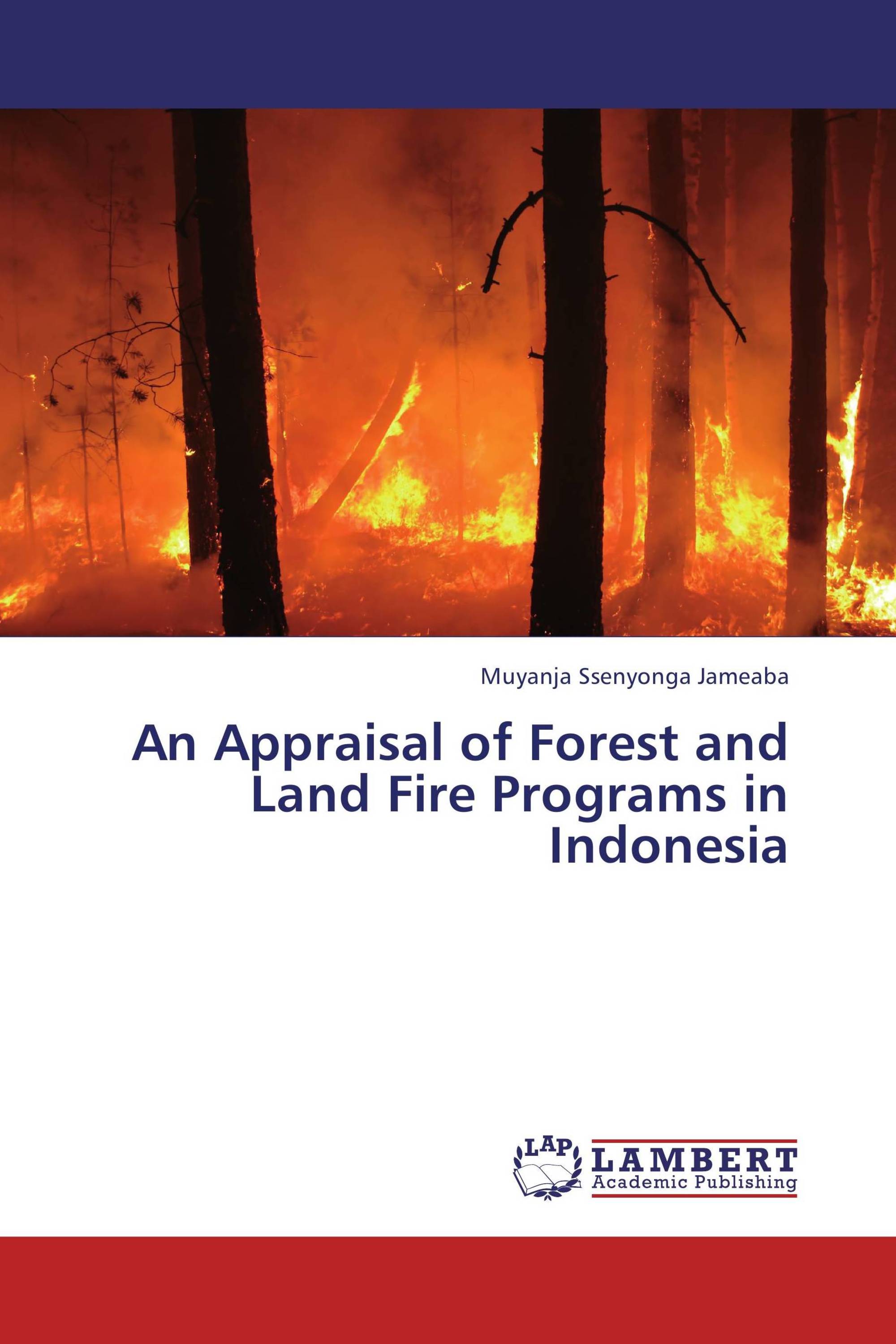 An Appraisal of Forest and Land Fire Programs in Indonesia