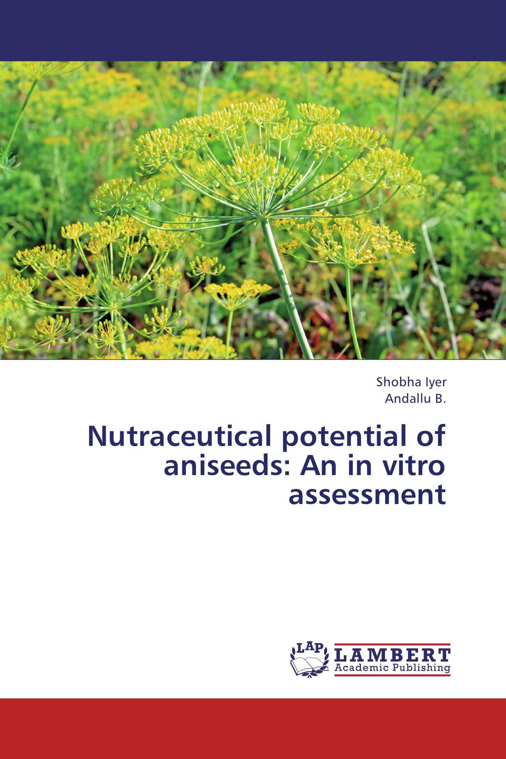 Nutraceutical potential of aniseeds: An in vitro assessment