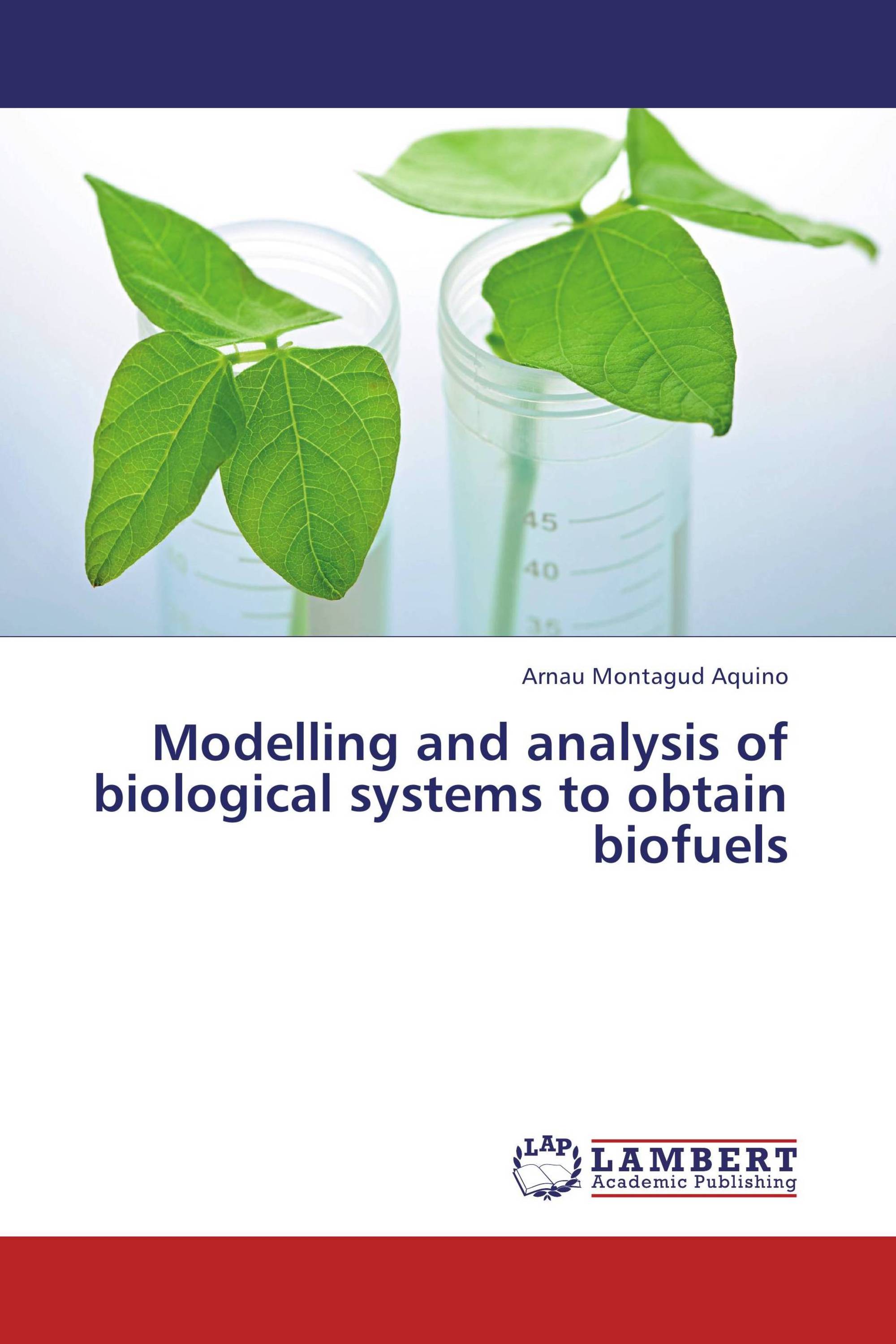 Modelling and analysis of biological systems to obtain biofuels