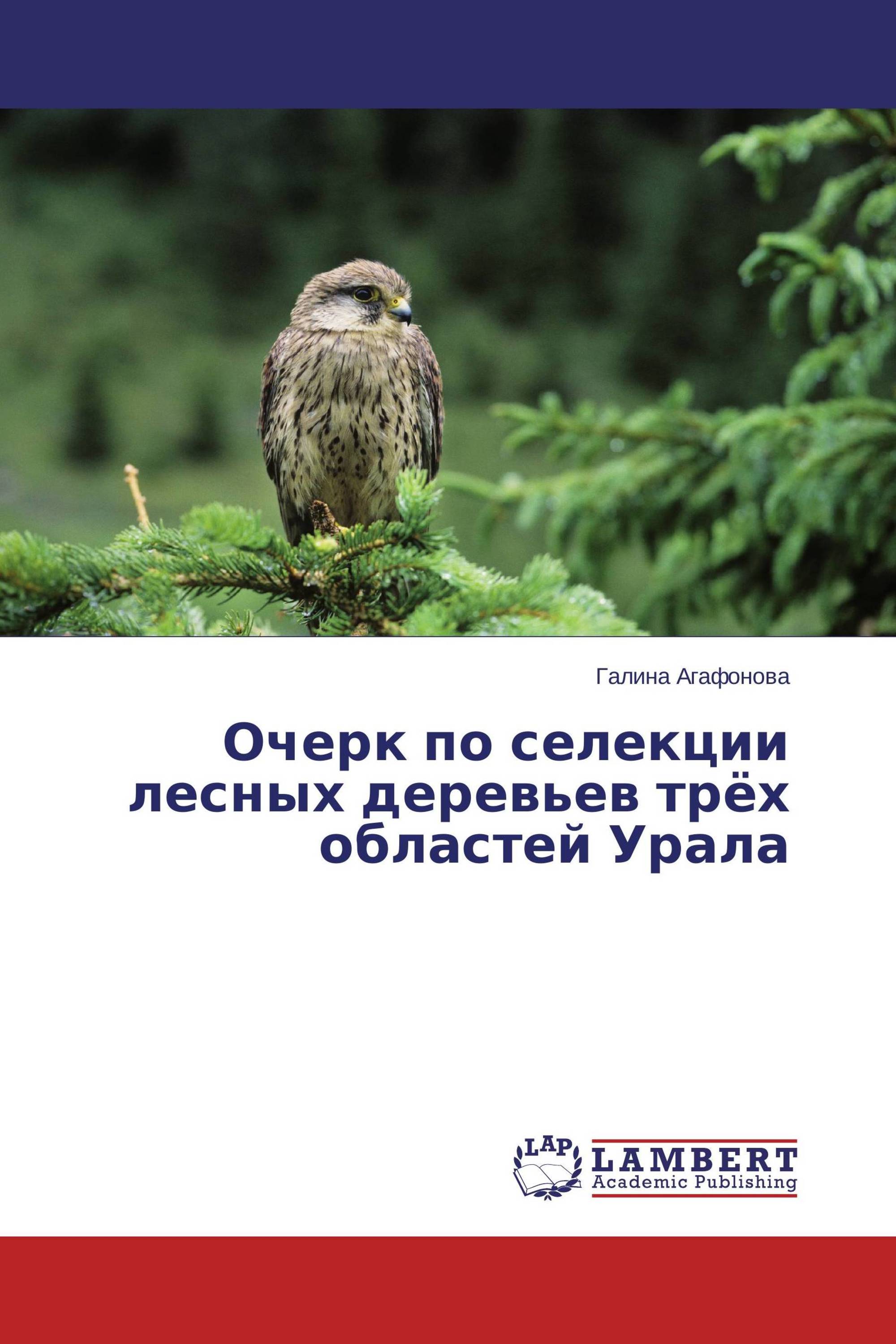 Очерк по селекции лесных деревьев трёх областей Урала