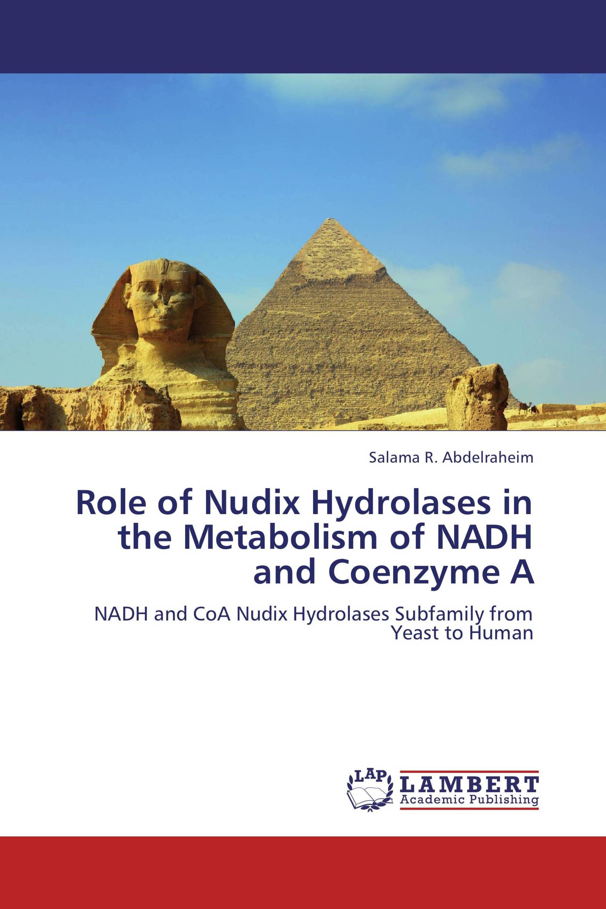 Role of Nudix Hydrolases in the Metabolism of NADH and Coenzyme A