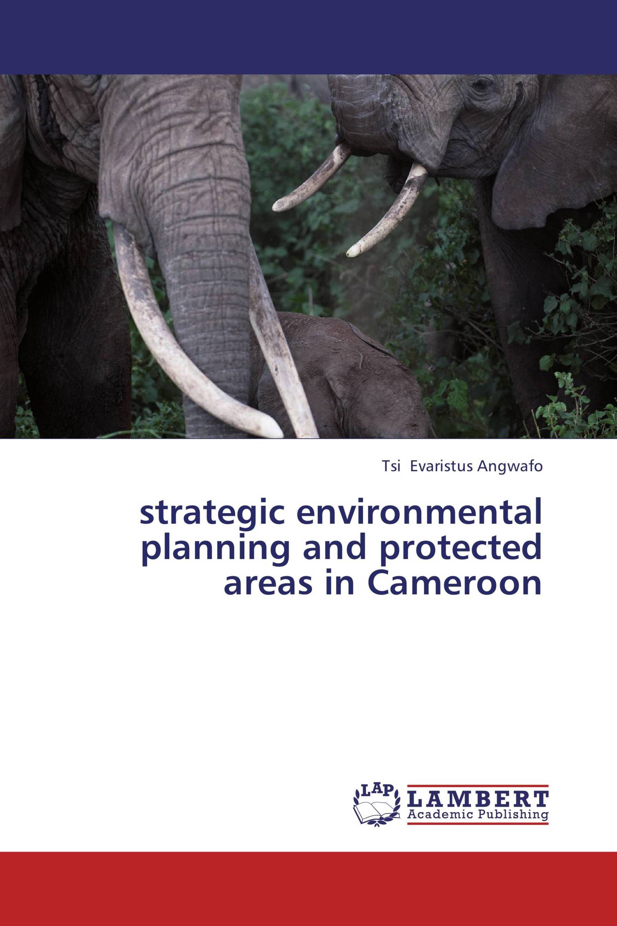 strategic environmental planning and protected areas in Cameroon