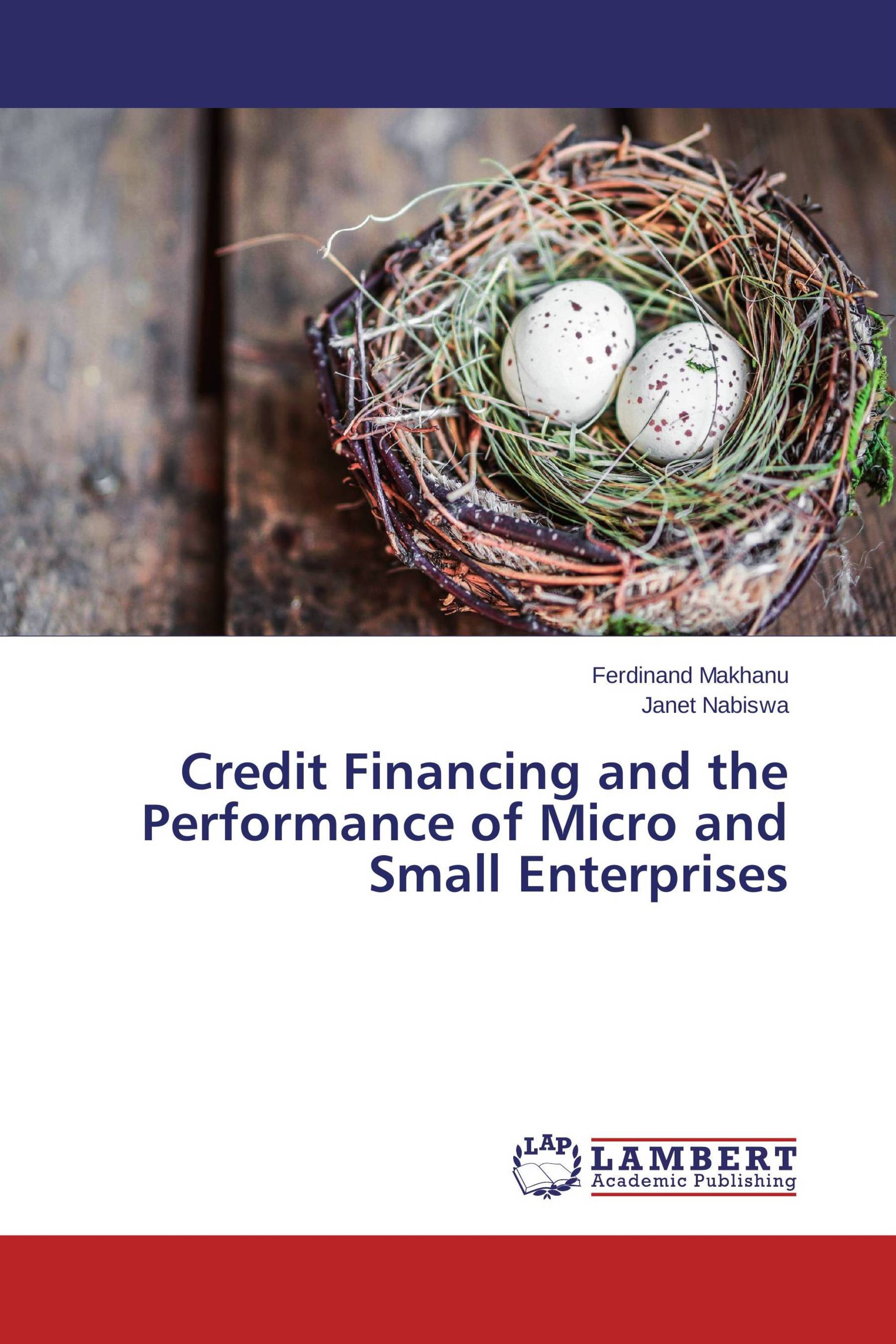 Credit Financing and the Performance of Micro and Small Enterprises