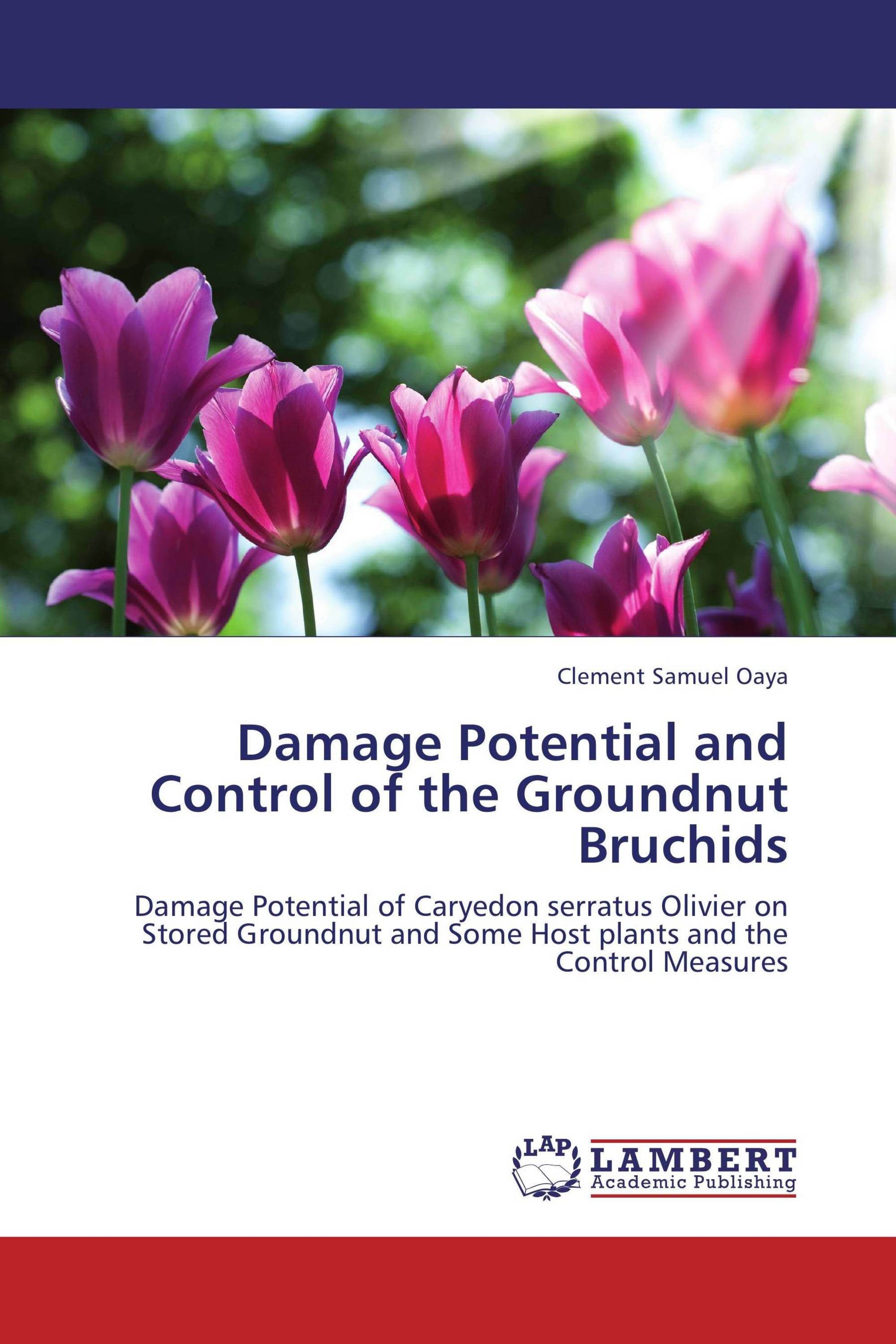 Damage Potential and Control of the Groundnut Bruchids