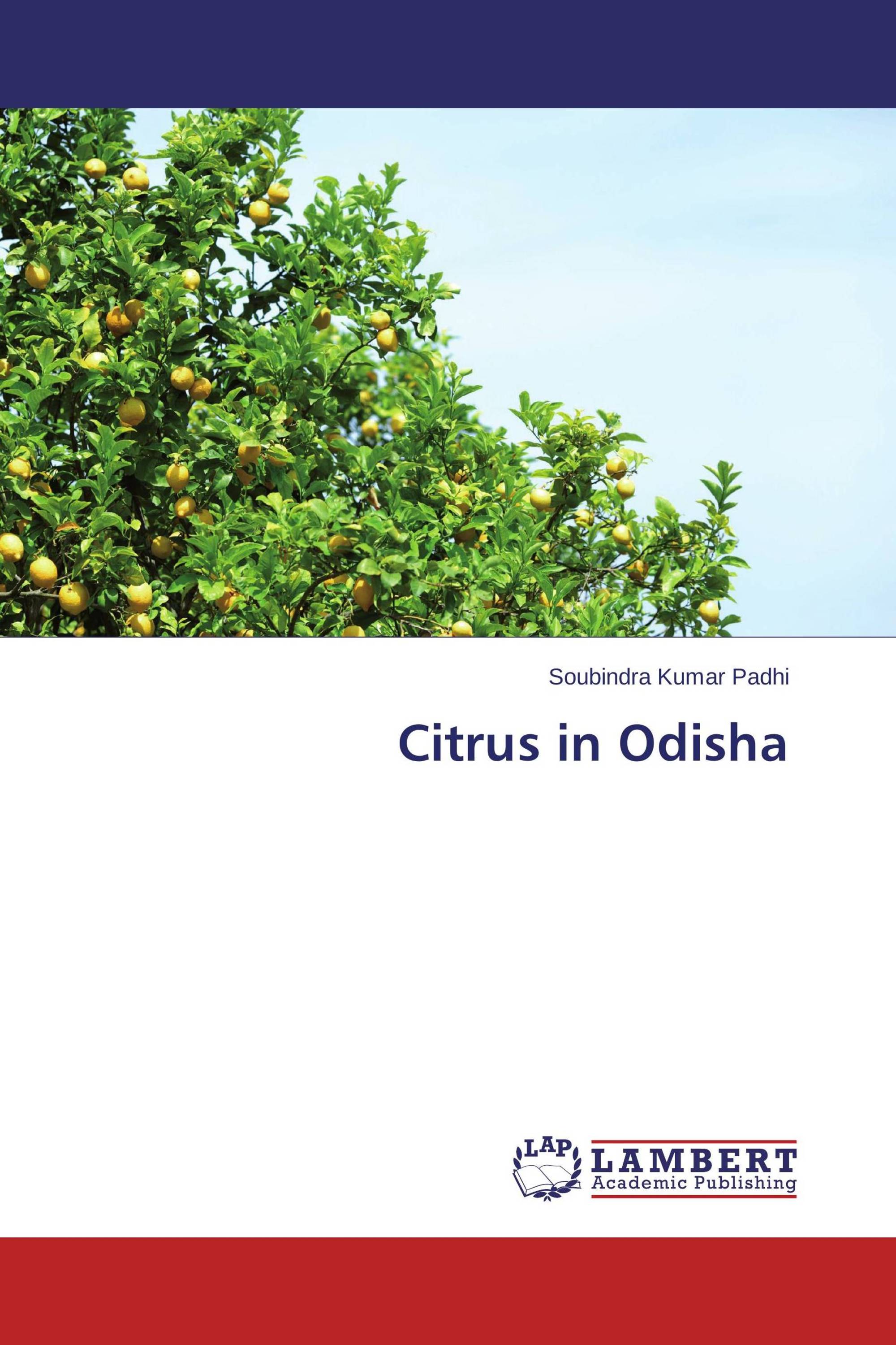 Citrus in Odisha