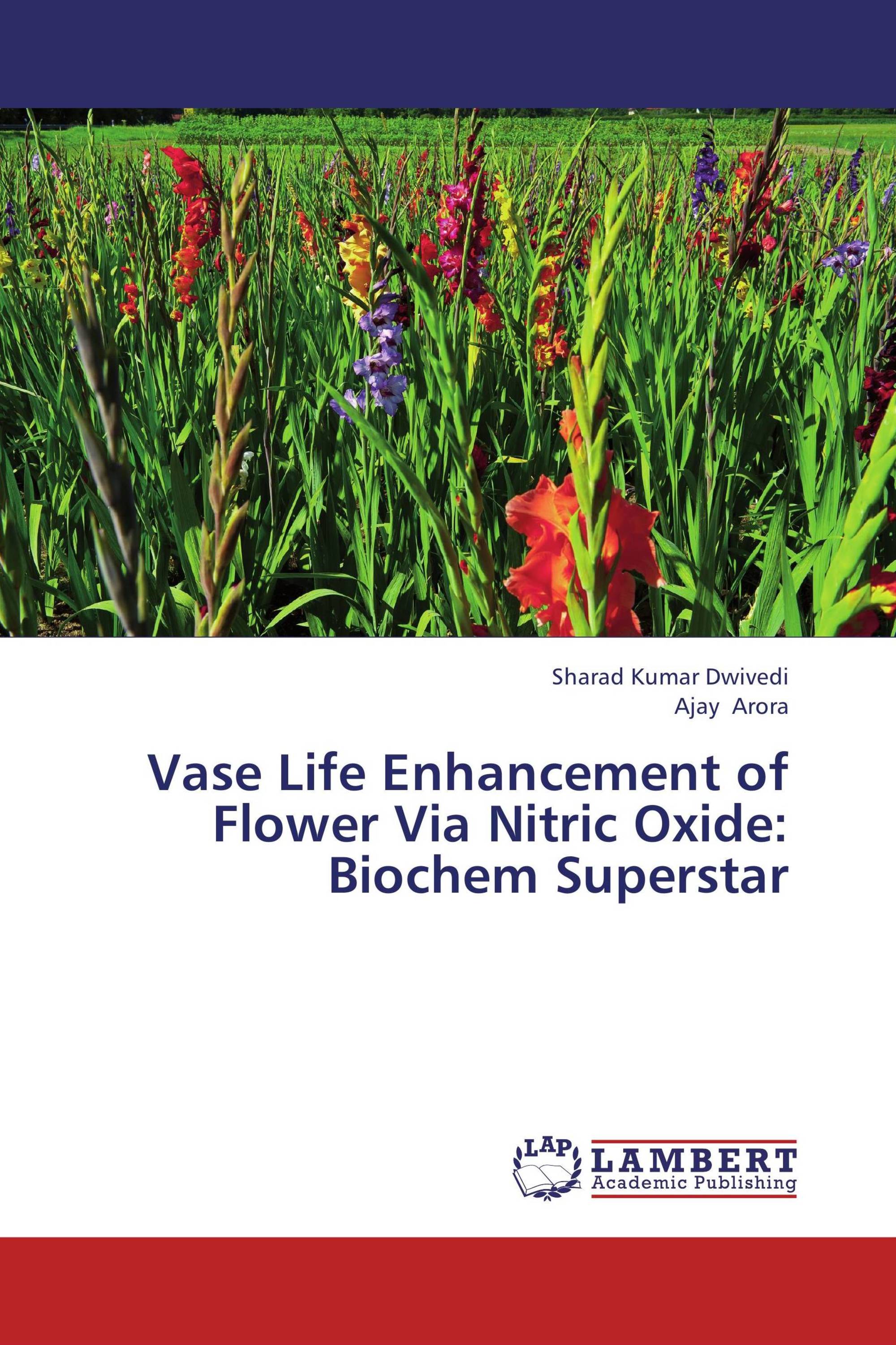 Vase Life Enhancement of Flower Via Nitric Oxide Biochem Superstar