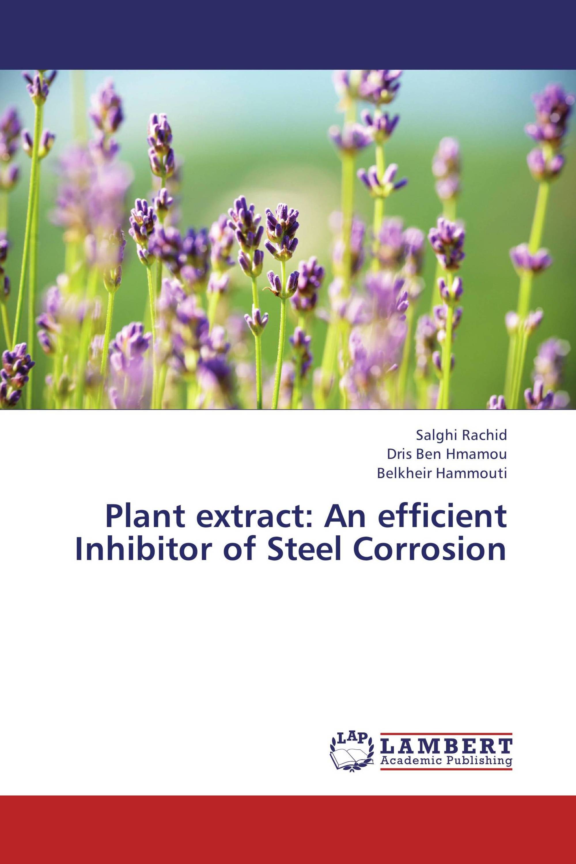 Plant extract: An efficient Inhibitor of Steel Corrosion