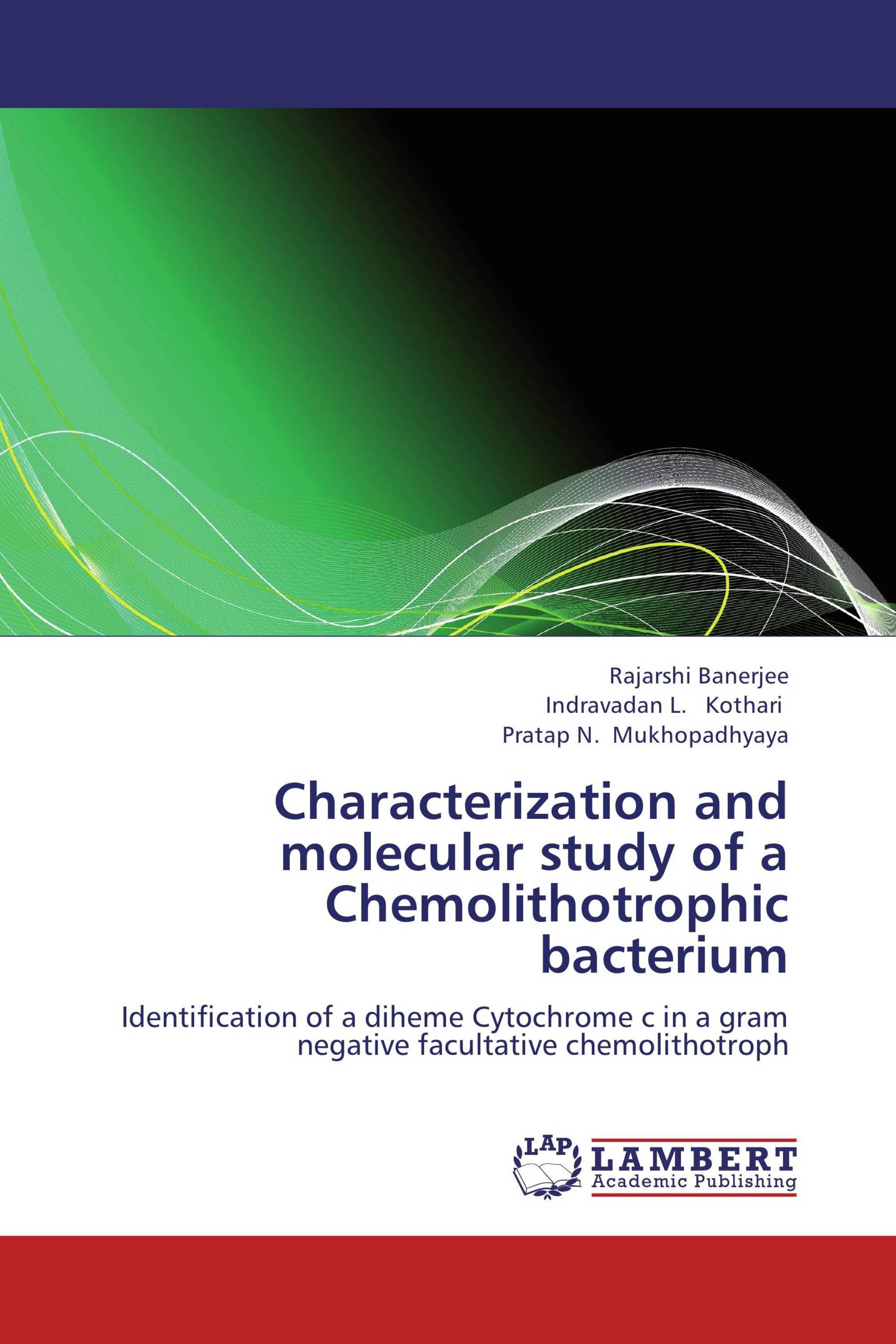 Characterization and molecular study of a Chemolithotrophic bacterium