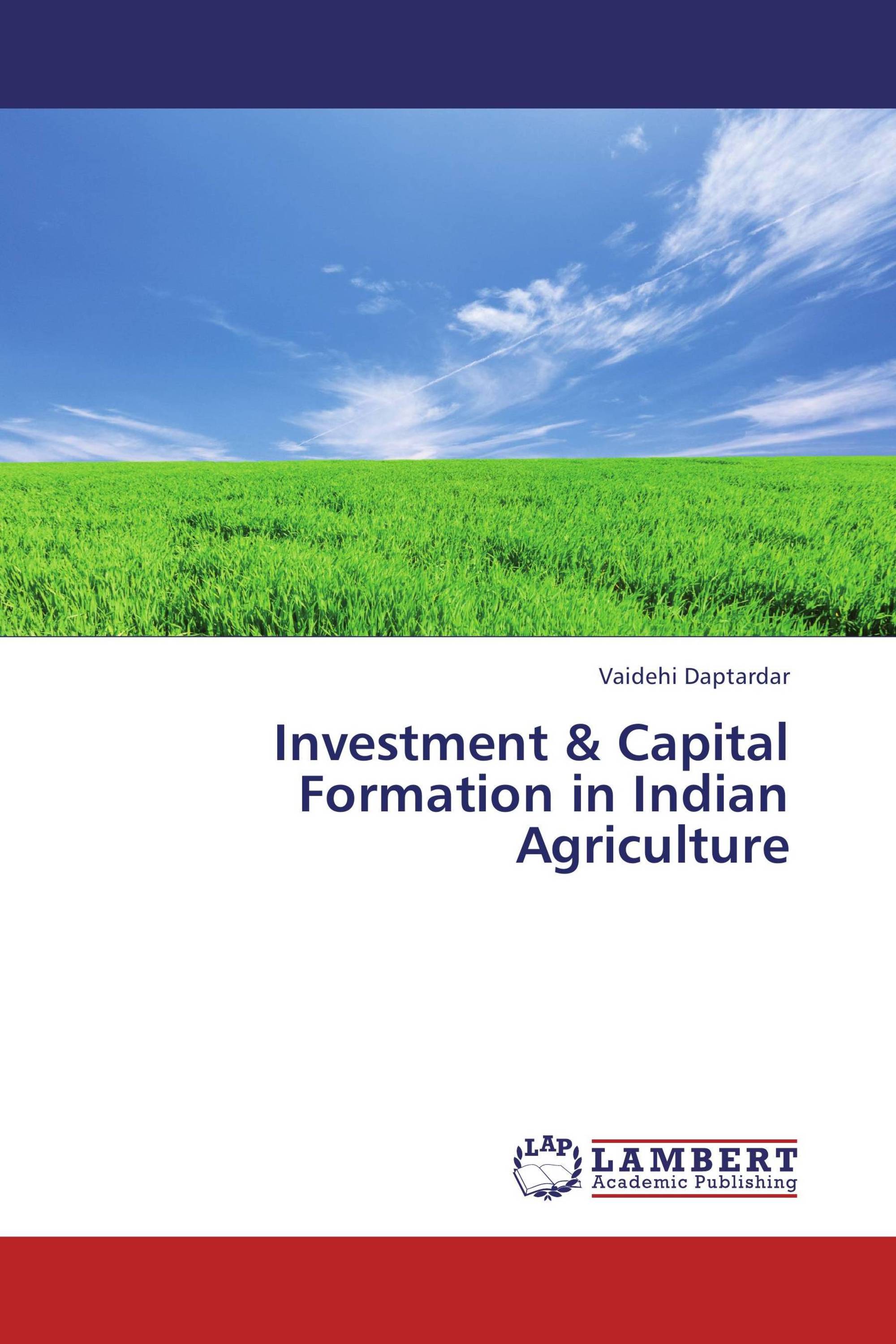 investment-capital-formation-in-indian-agriculture-978-3-659-41723