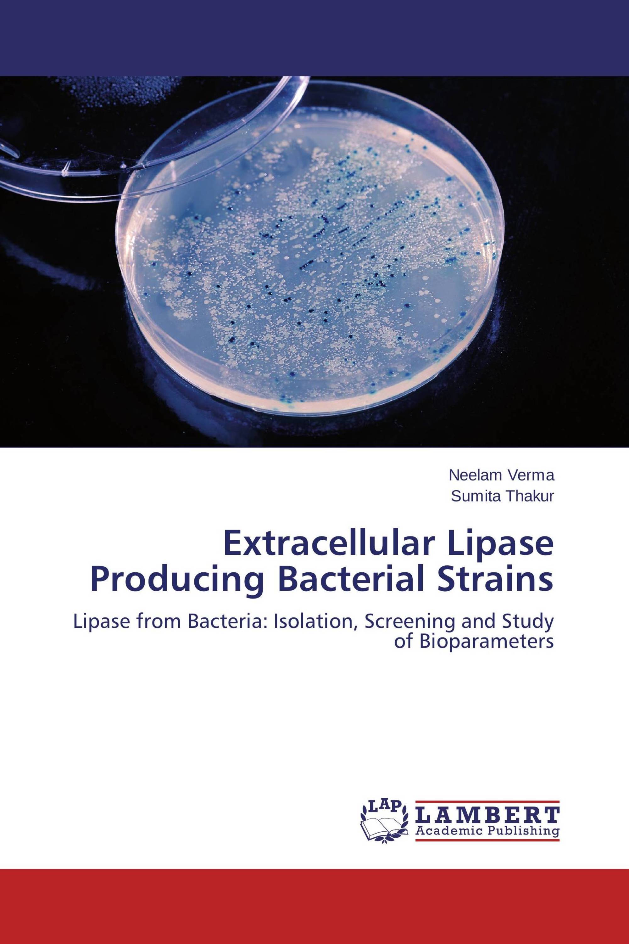 What is lipase test for image