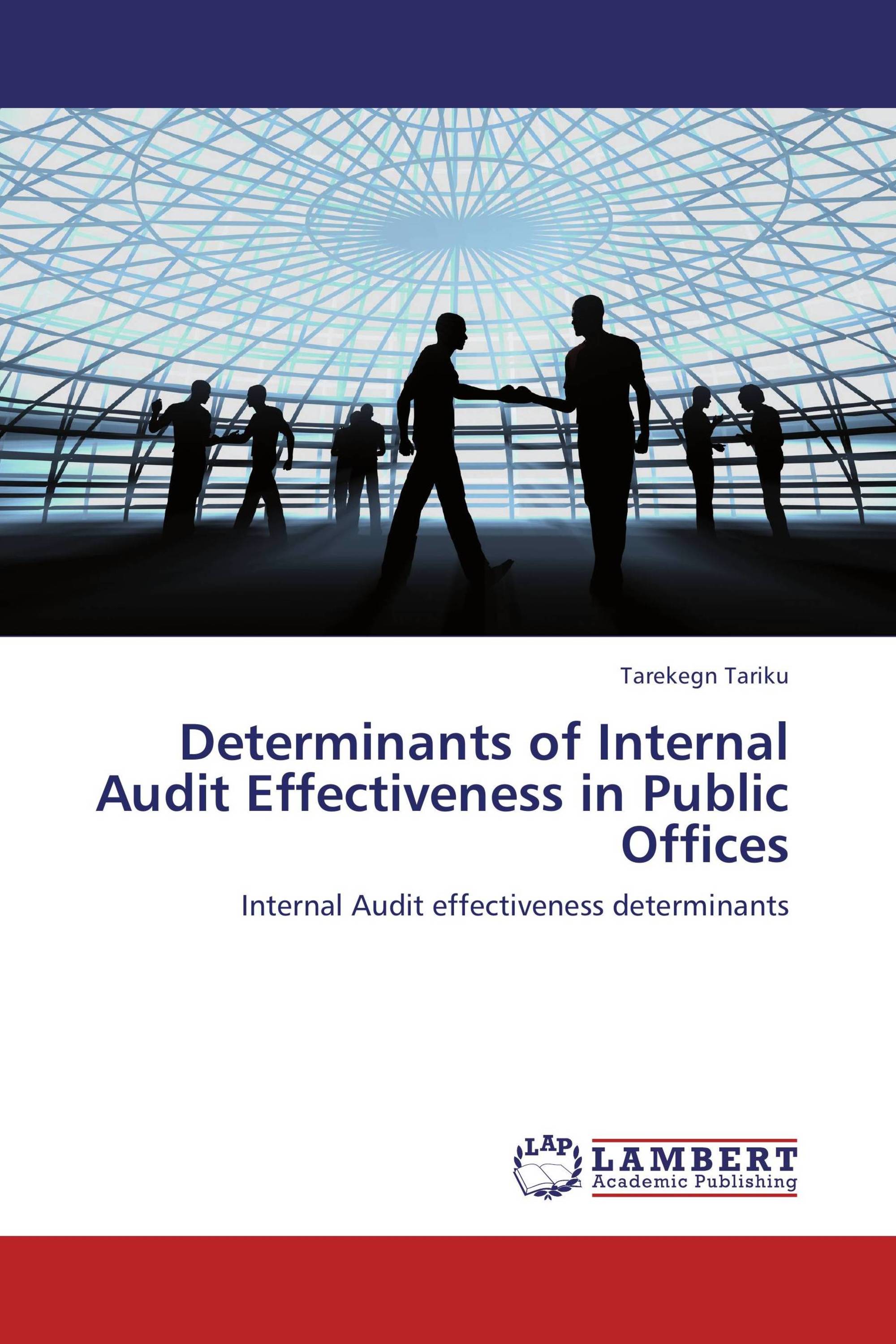 Audit dissertation effectiveness government in internal