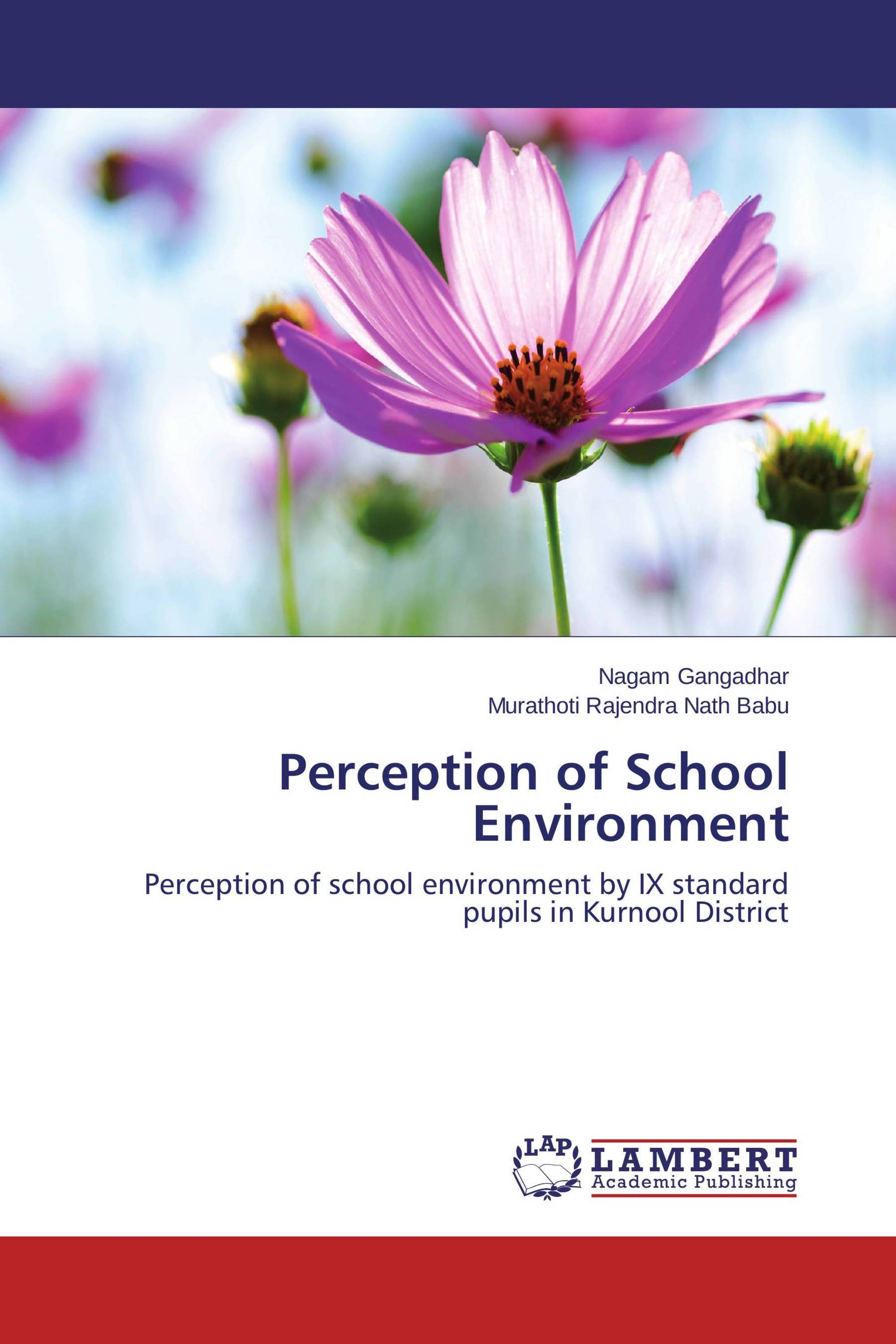 Perception Of School Environment 978 3 659 44614 6 9783659446146 