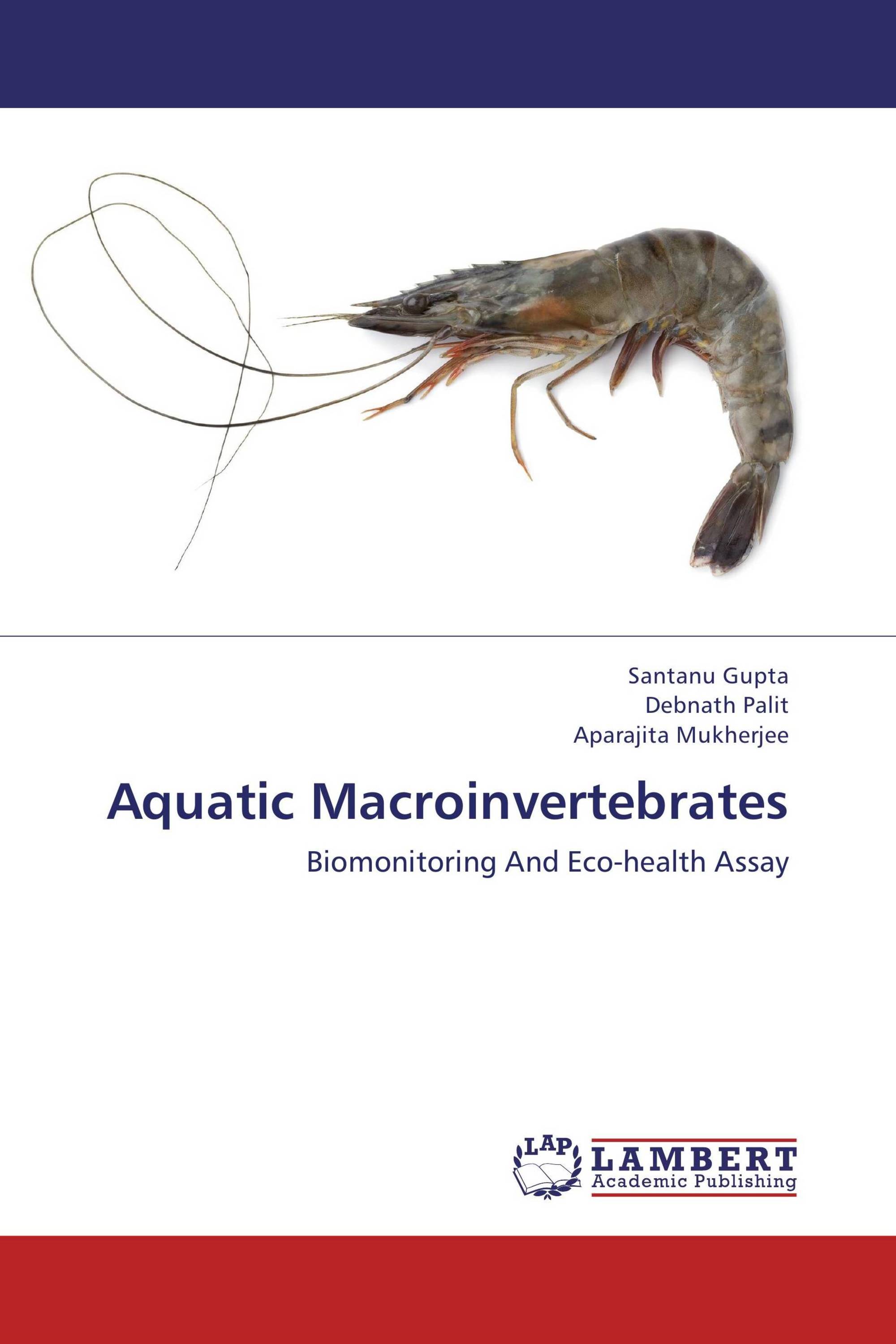 Macroinvertebrate thesis 02 image