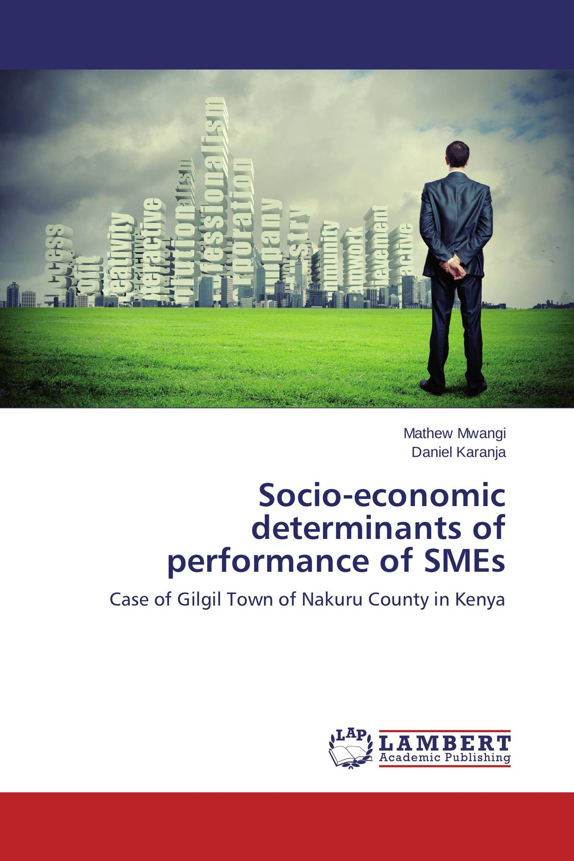 Socio-economic determinants of performance of SMEs