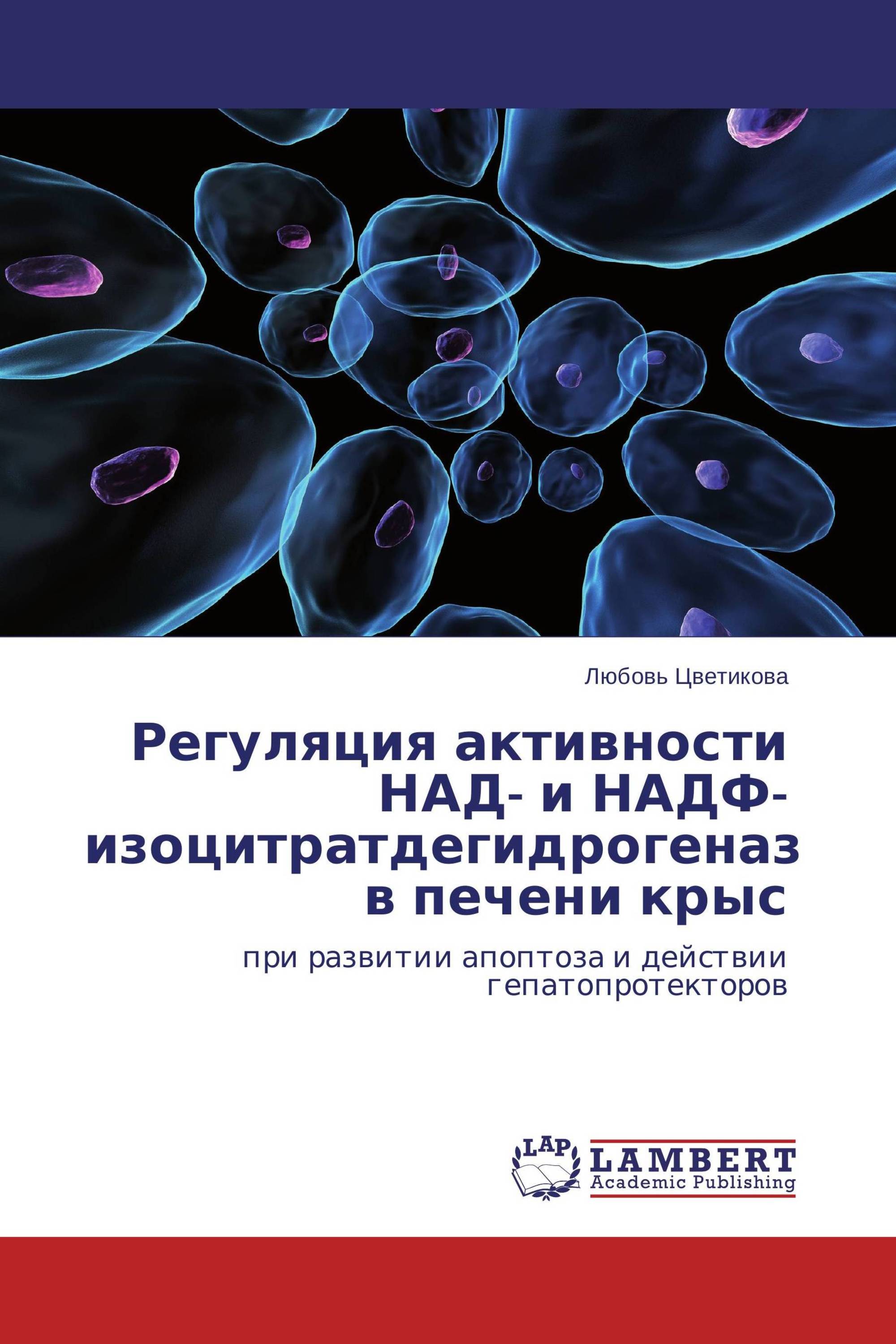 Регуляция активности НАД- и НАДФ- изоцитратдегидрогеназ в печени крыс