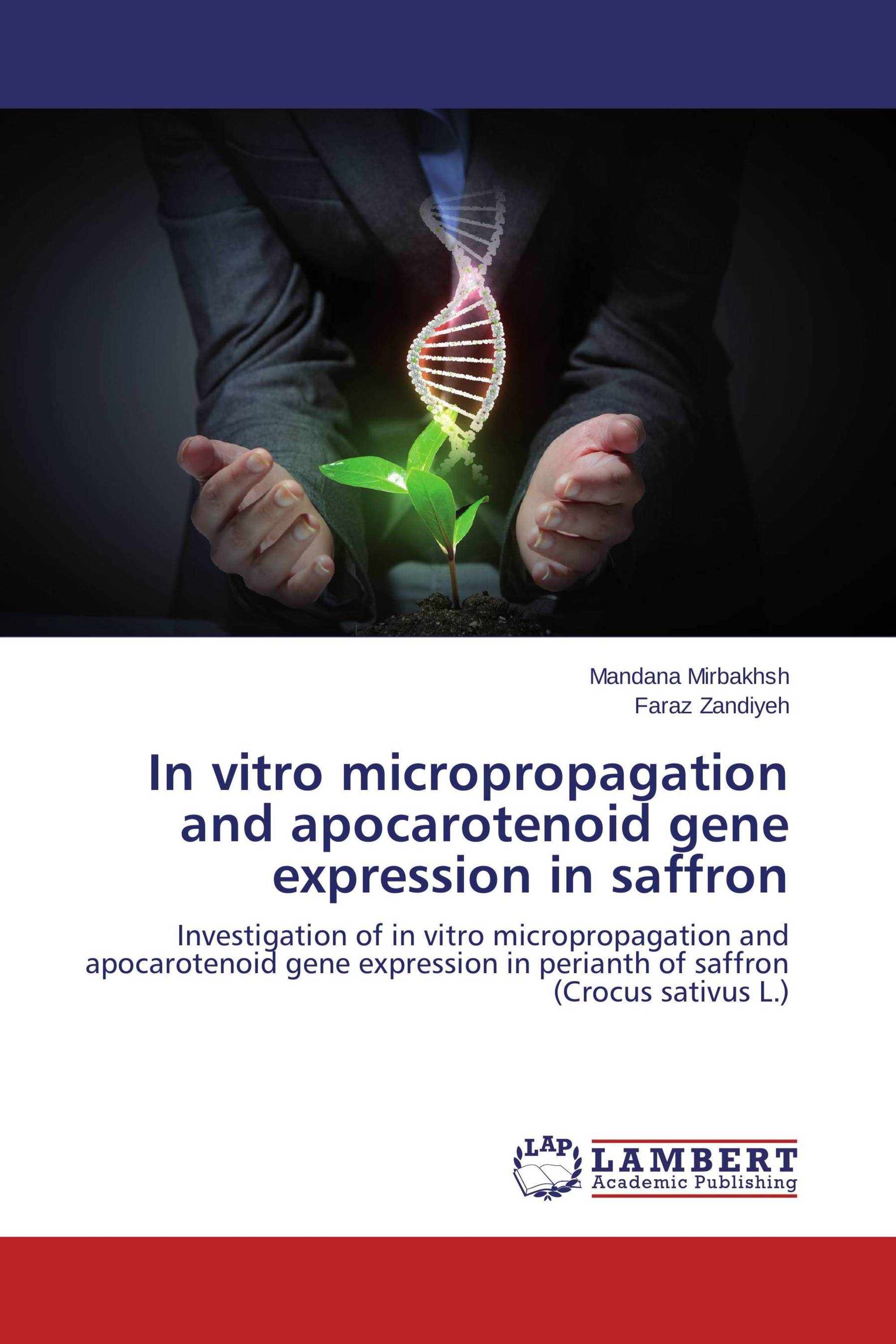 In vitro micropropagation and apocarotenoid gene expression in saffron