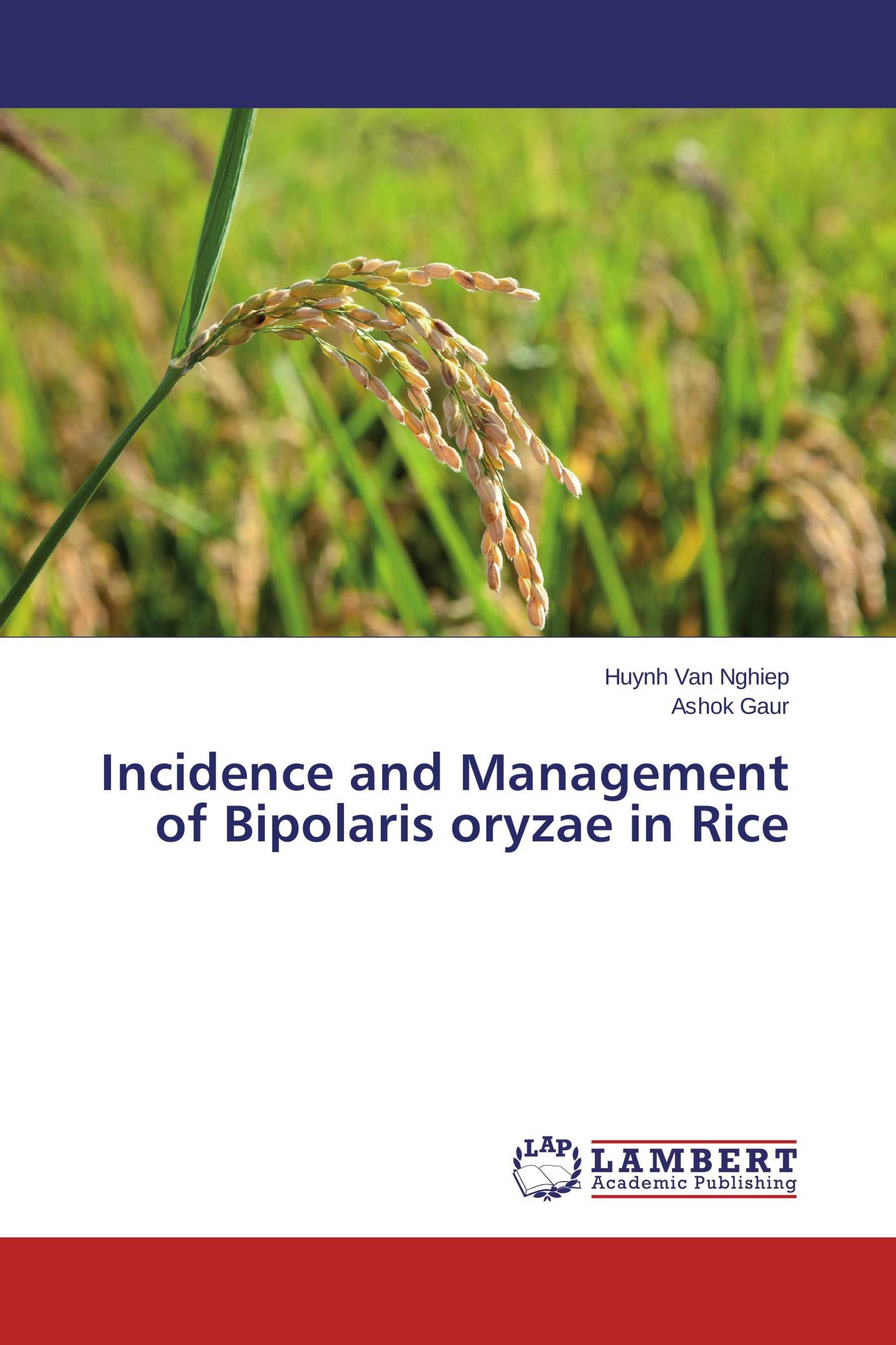 Incidence and Management of Bipolaris oryzae in Rice