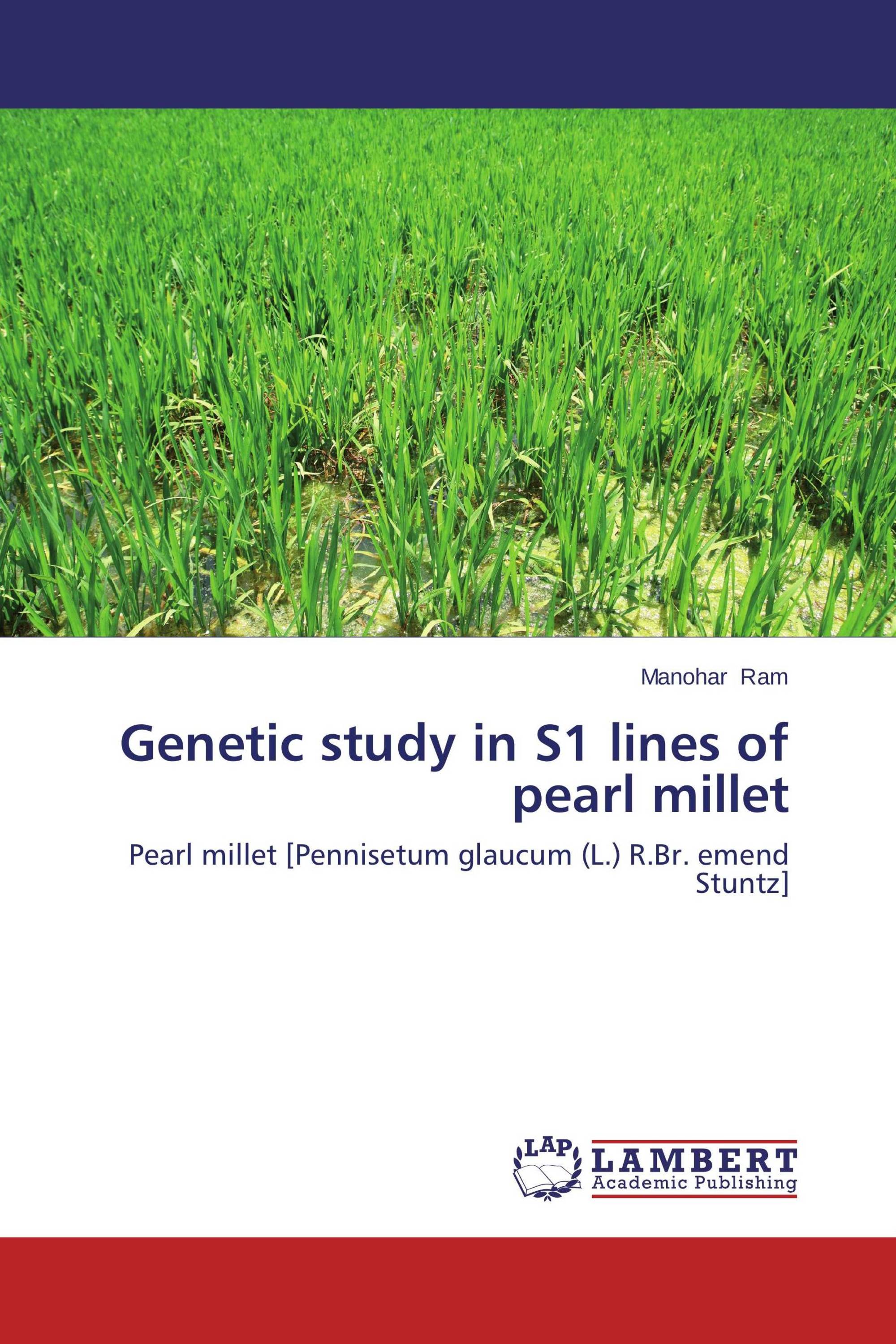Pearl millet benefits image