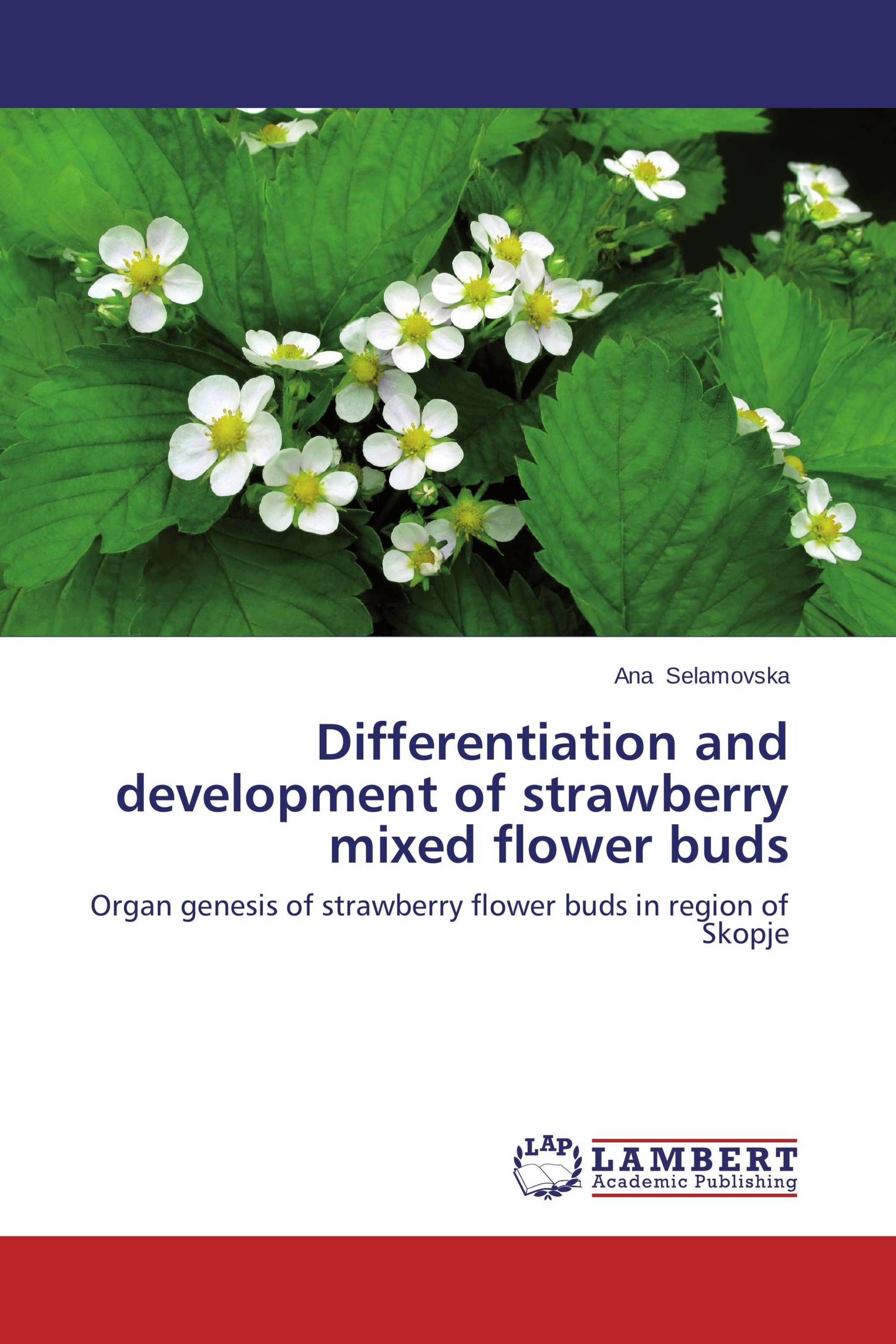 Differentiation and development of strawberry mixed flower buds