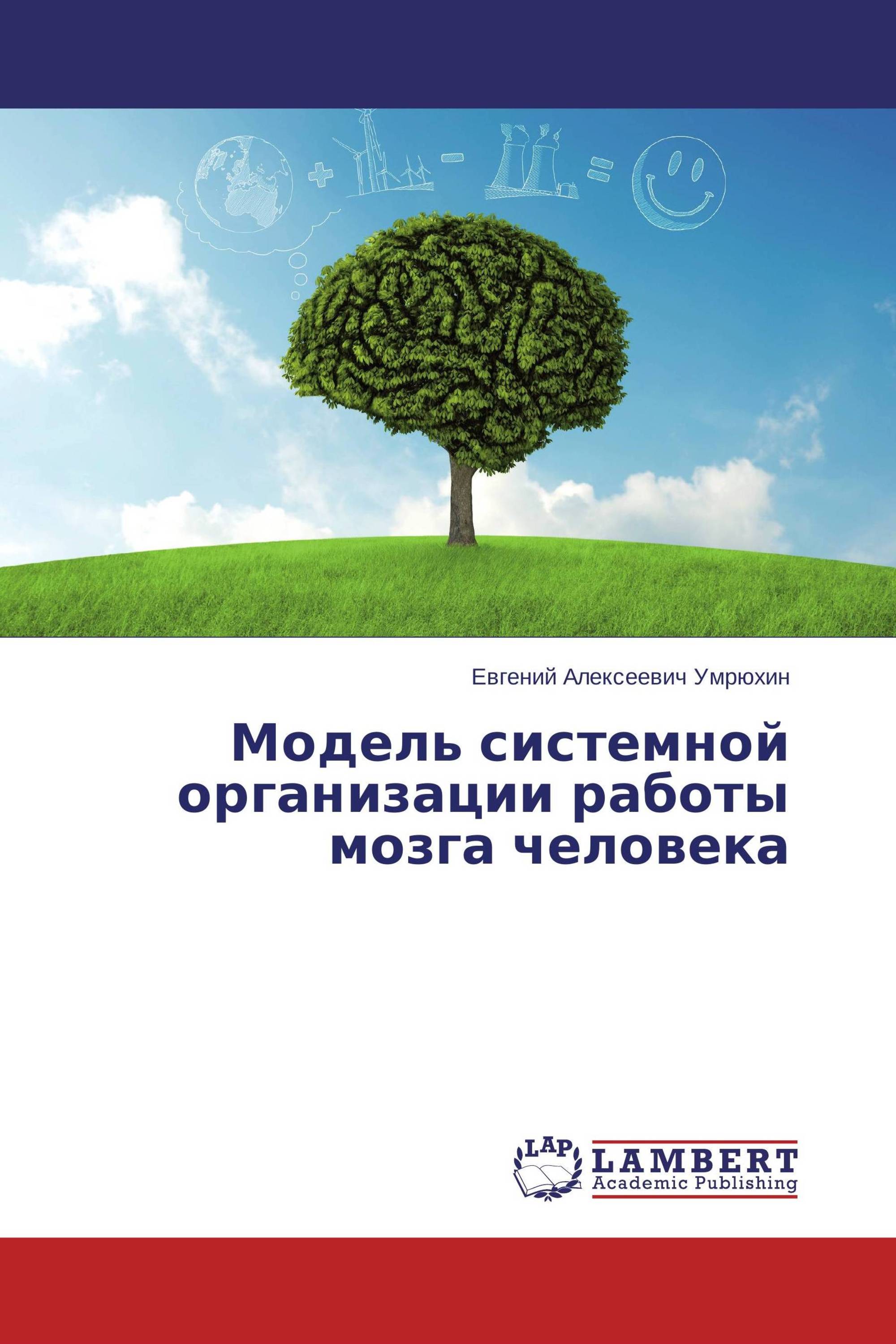 Модель системной организации работы мозга человека