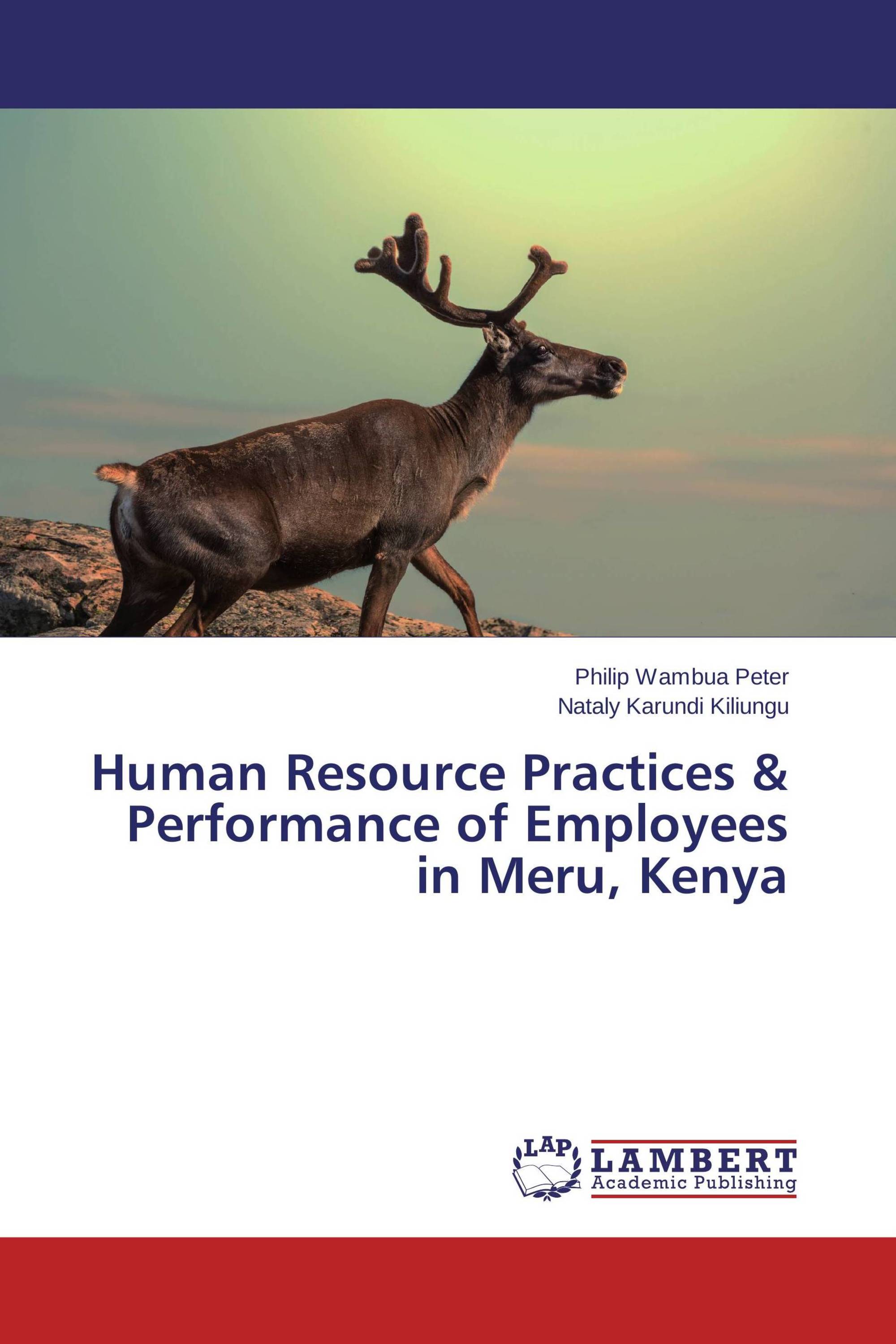 human-resource-practices-performance-of-employees-in-meru-kenya