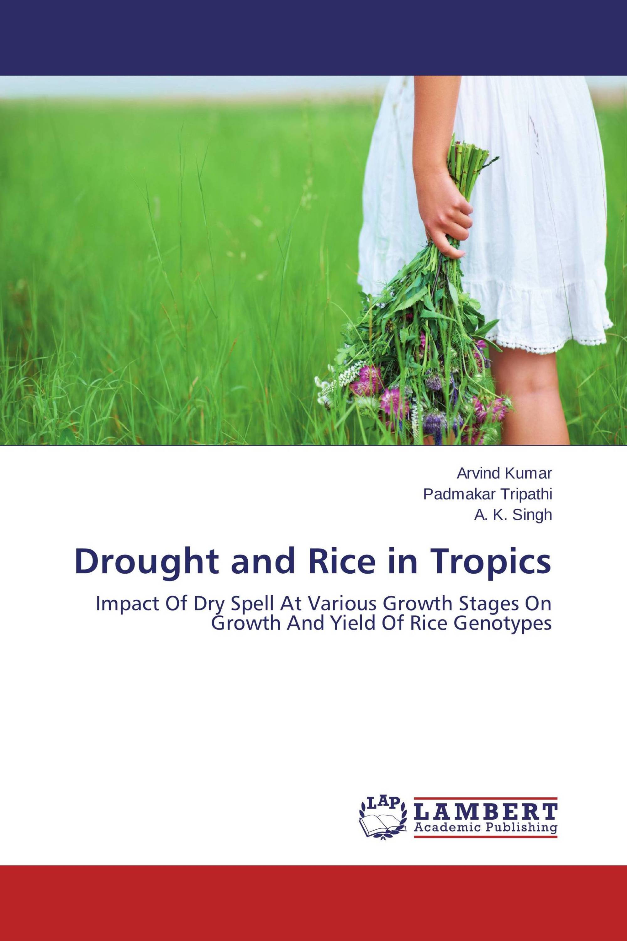 Drought and Rice in Tropics