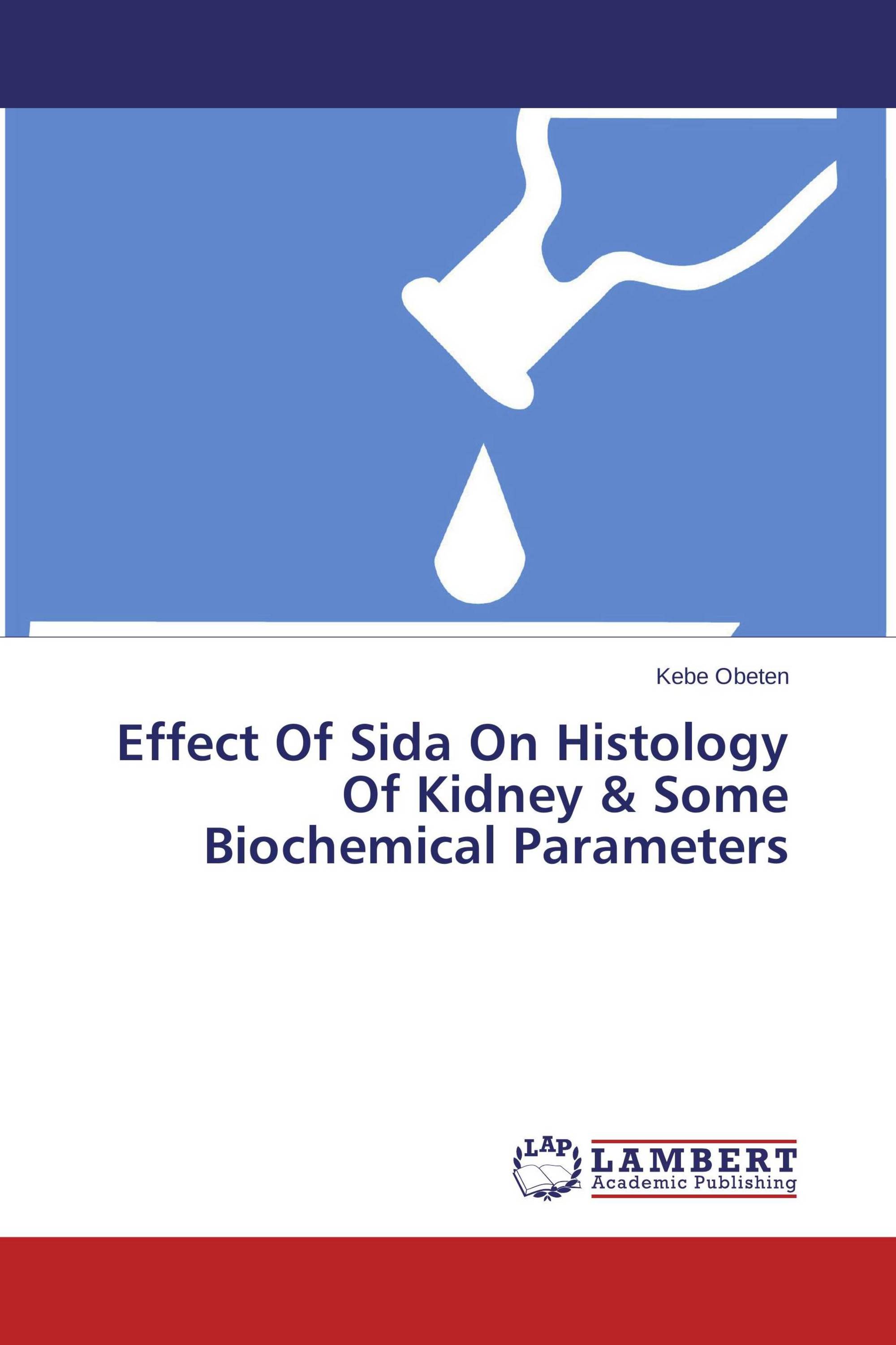 Dissertation sida 05 image