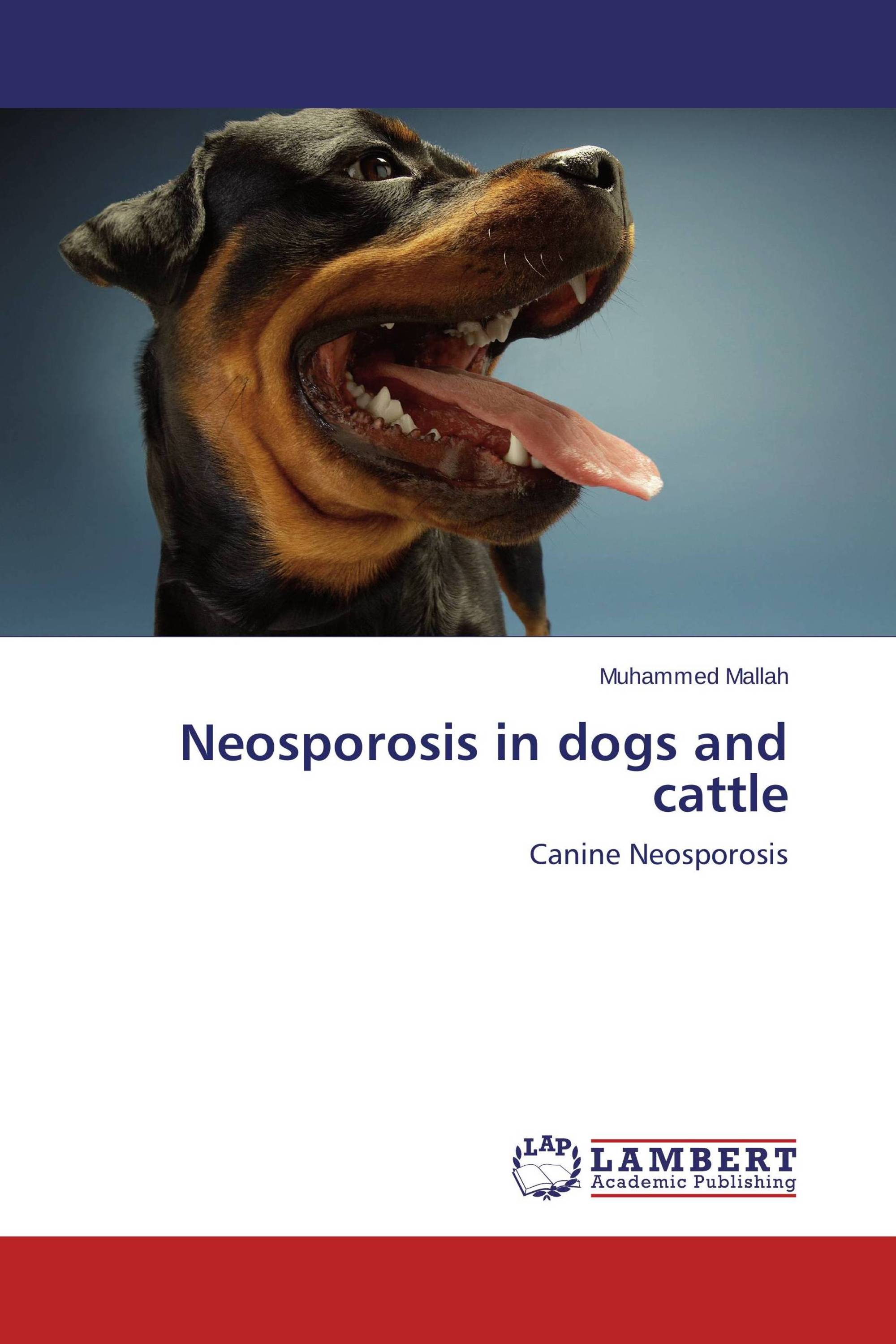 Neosporosis in dogs and cattle