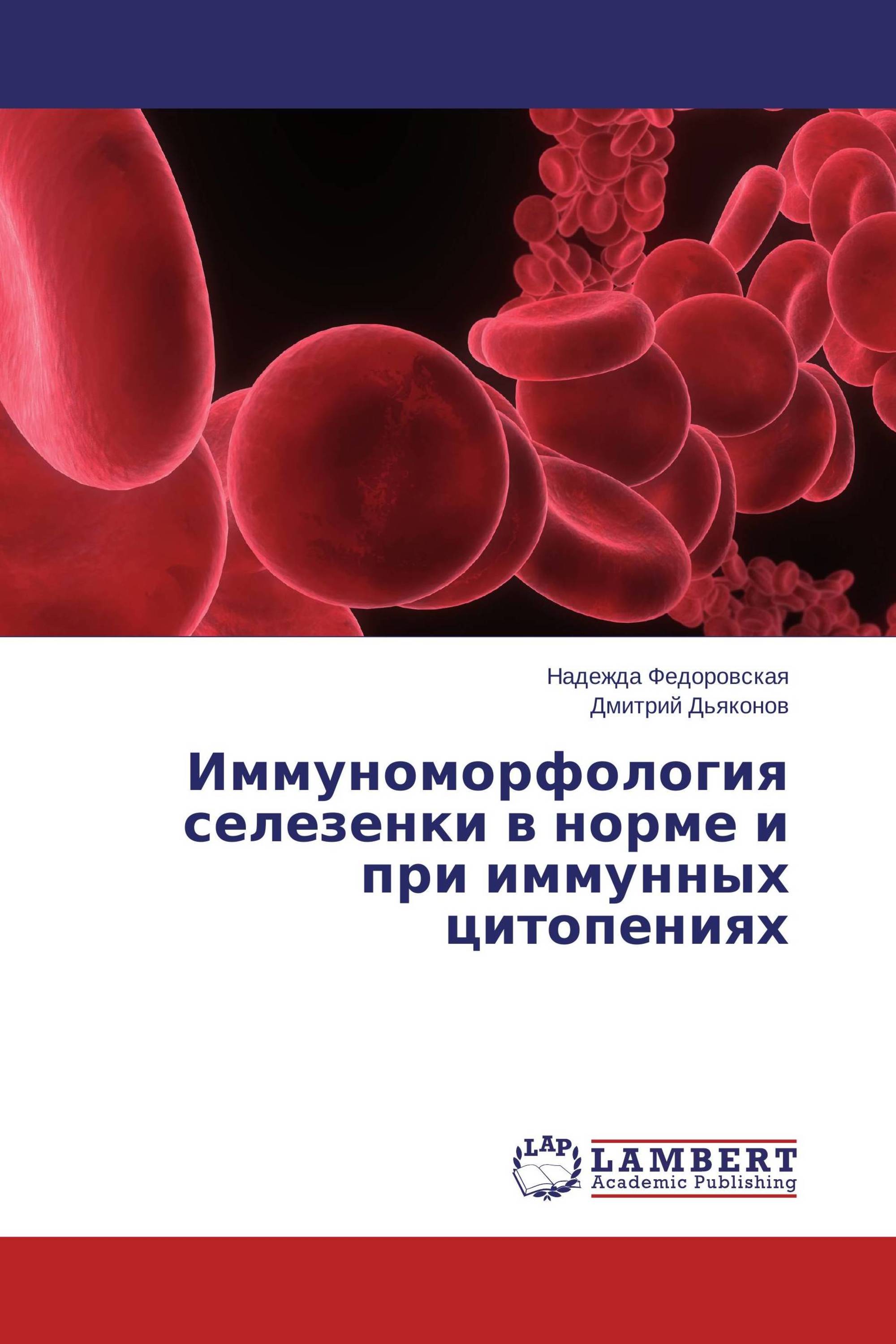 Иммуноморфология селезенки в норме и при иммунных цитопениях