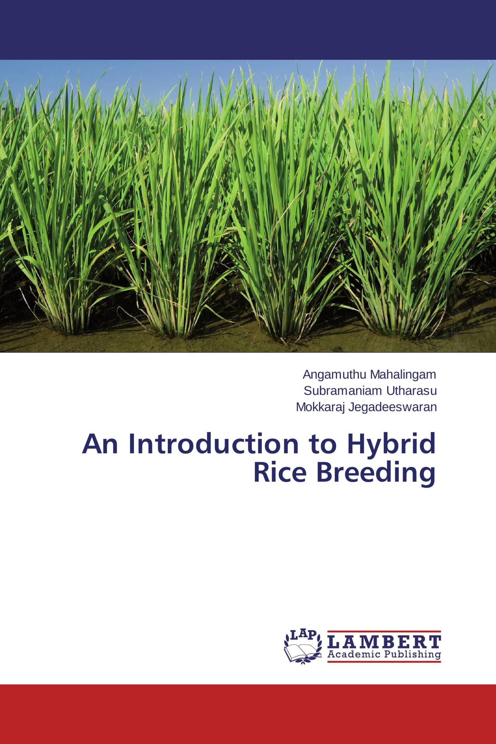 An Introduction To Hybrid Rice Breeding / 978-3-659-51427-2 ...