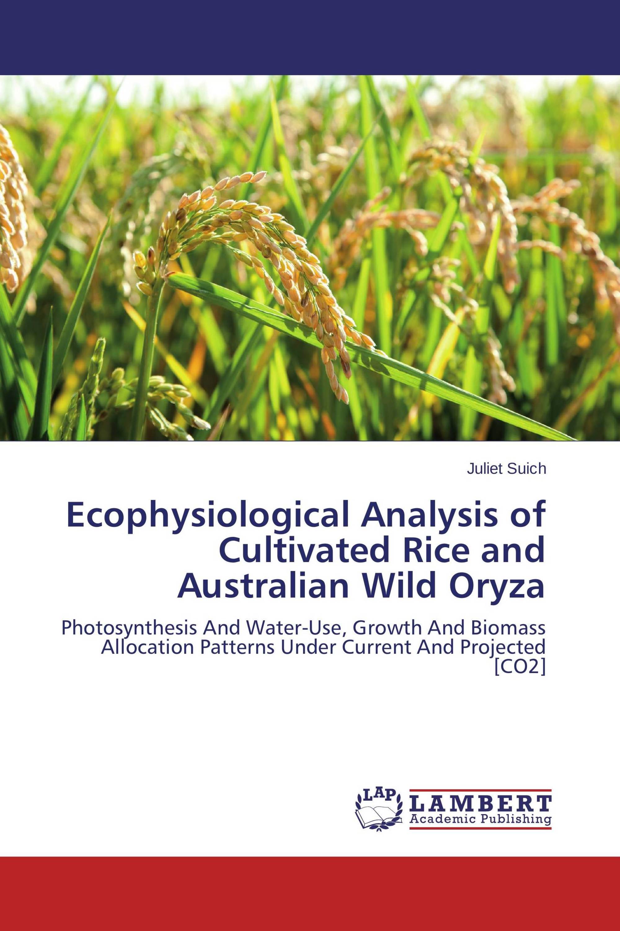 Ecophysiological Analysis of Cultivated Rice and Australian Wild Oryza