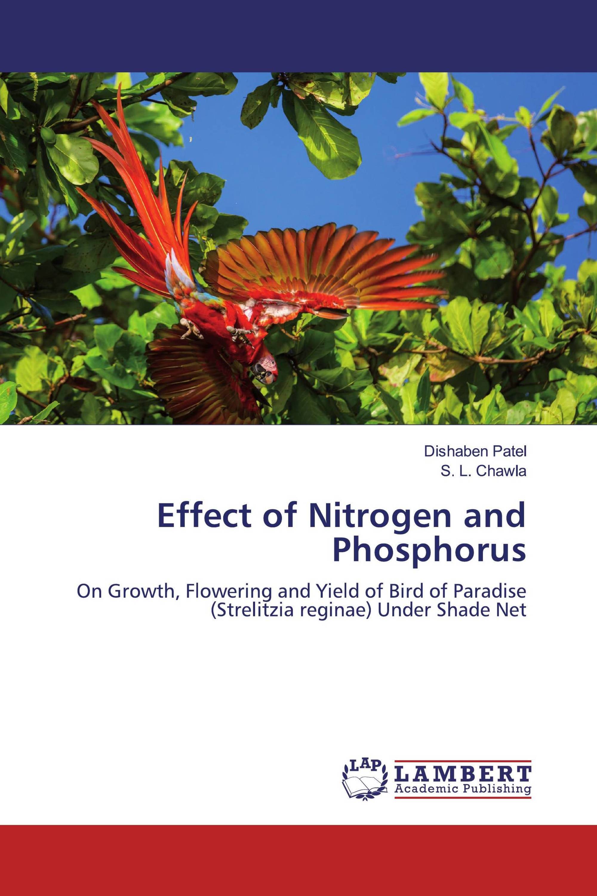 Effect of Nitrogen and Phosphorus