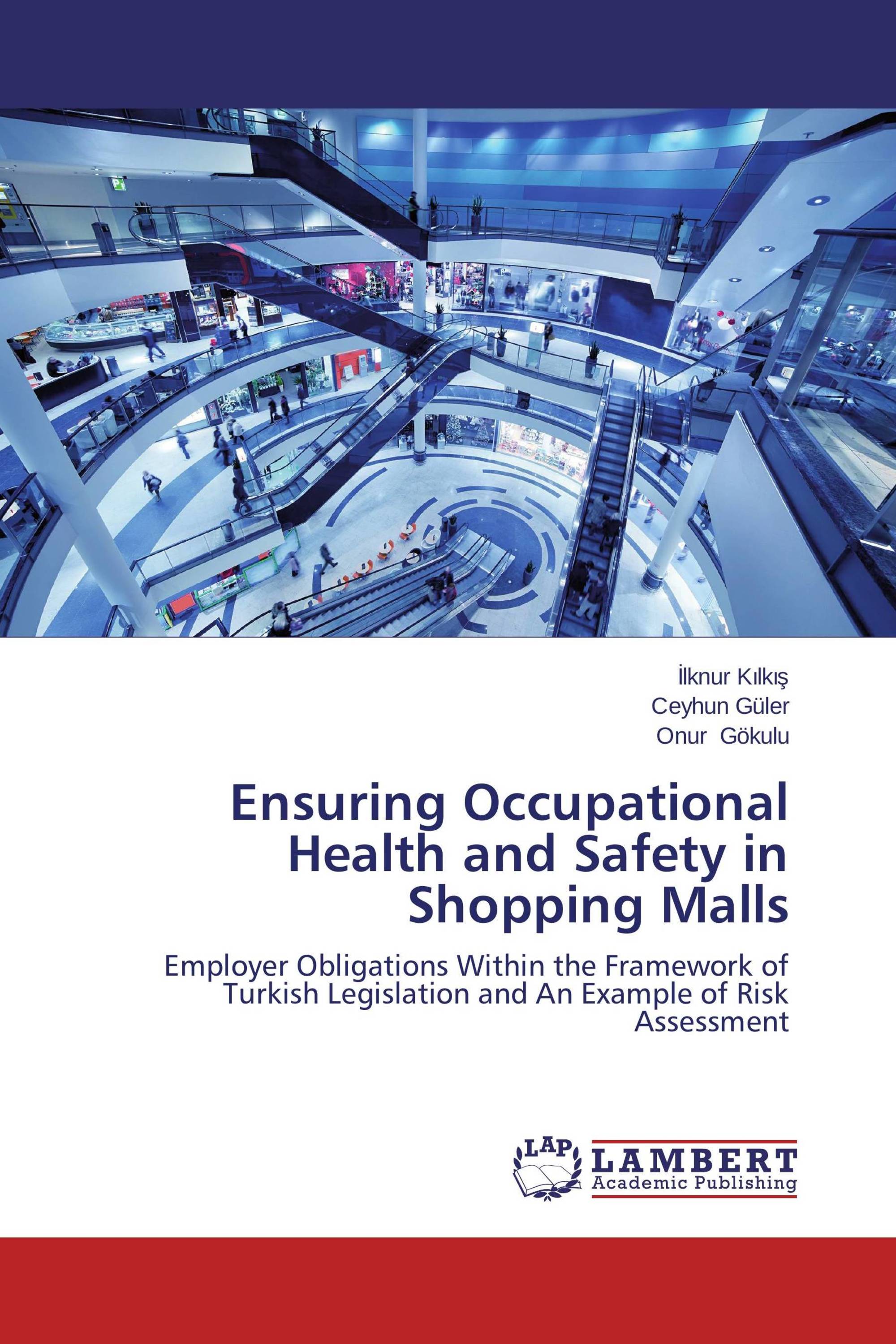 Ensuring Occupational Health and Safety in Shopping Malls / 9783659