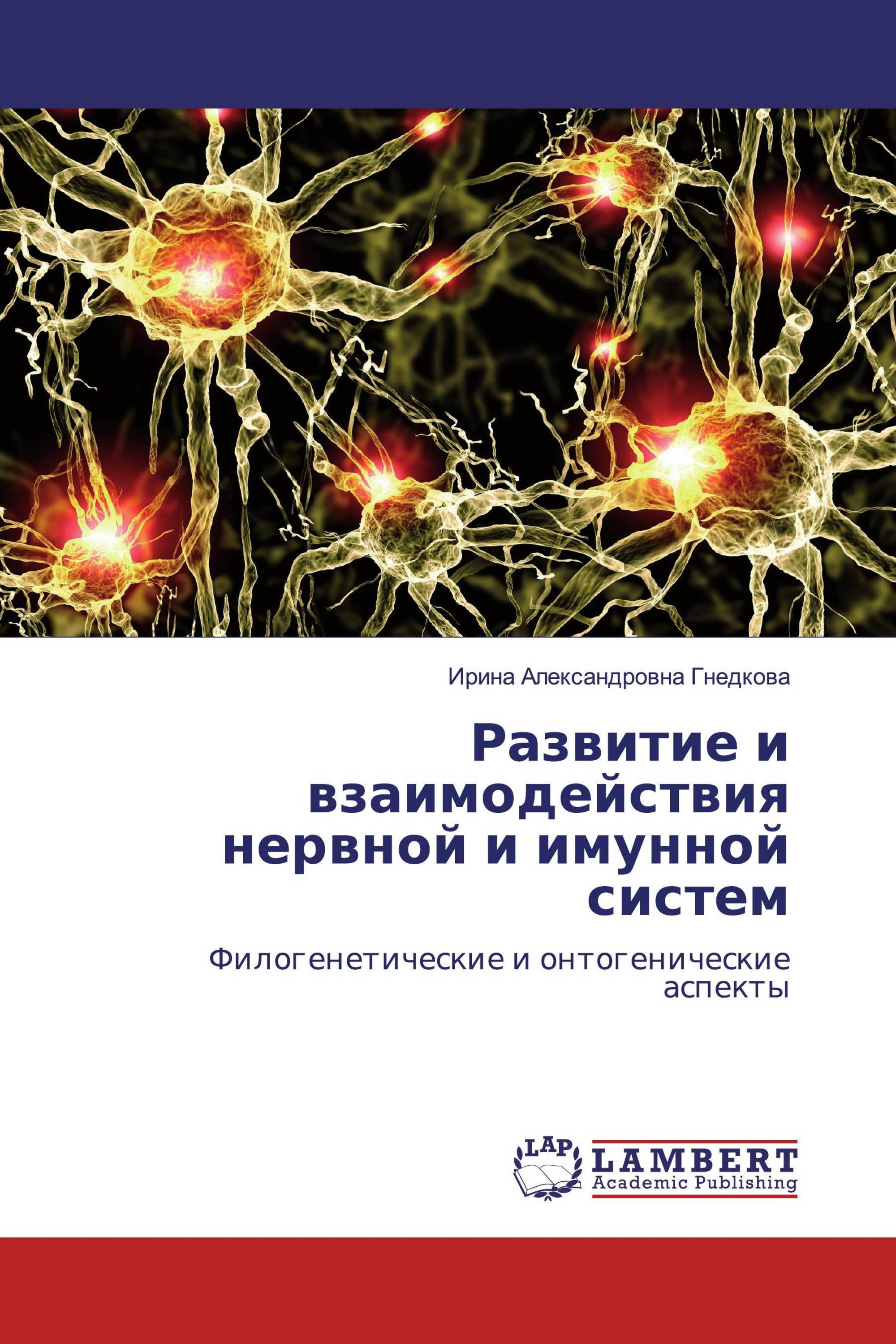 Развитие и взаимодействия нервной и имунной систем